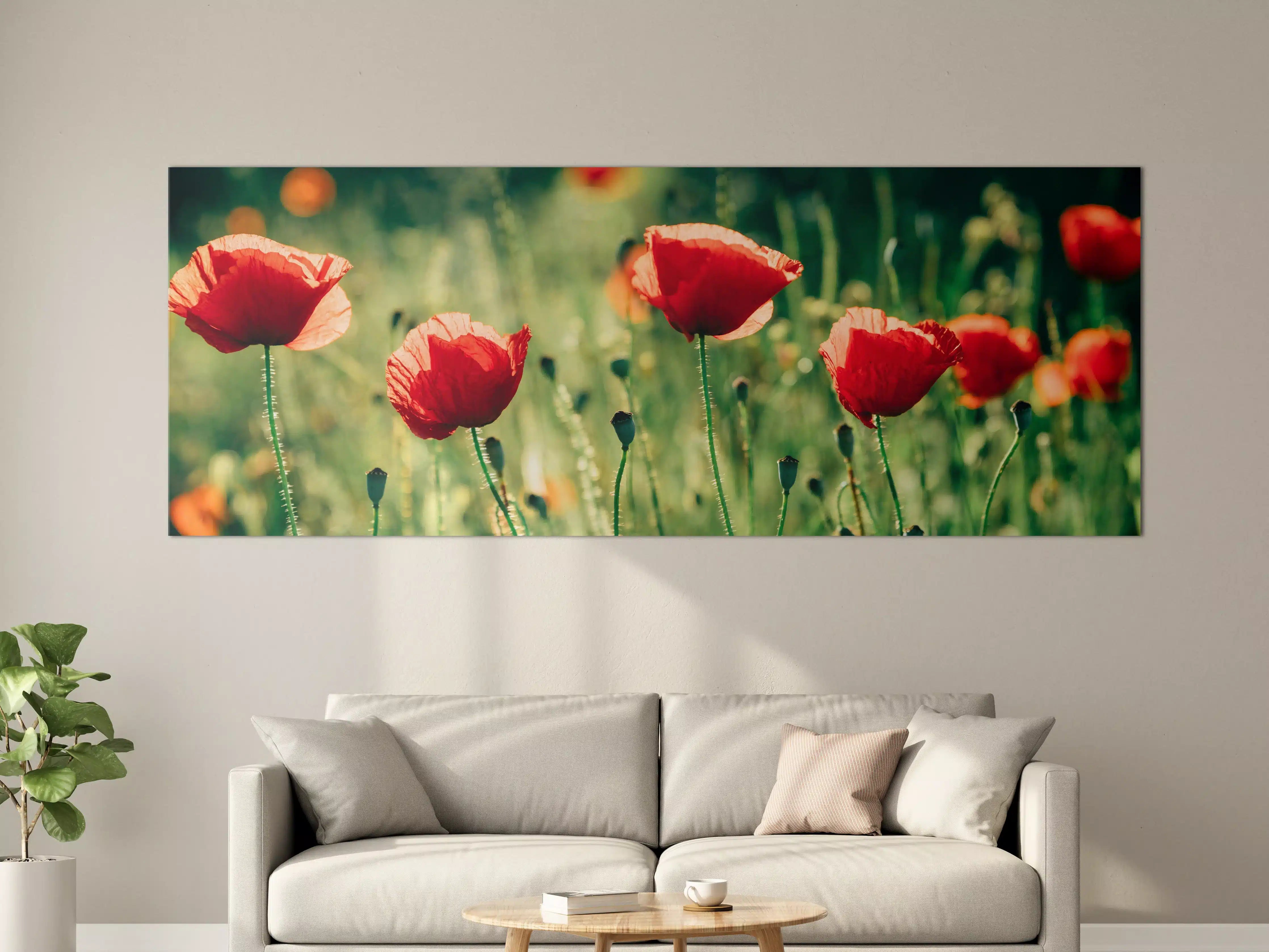Große Wandbilder - Rote Mohnblumen Sommerwiese