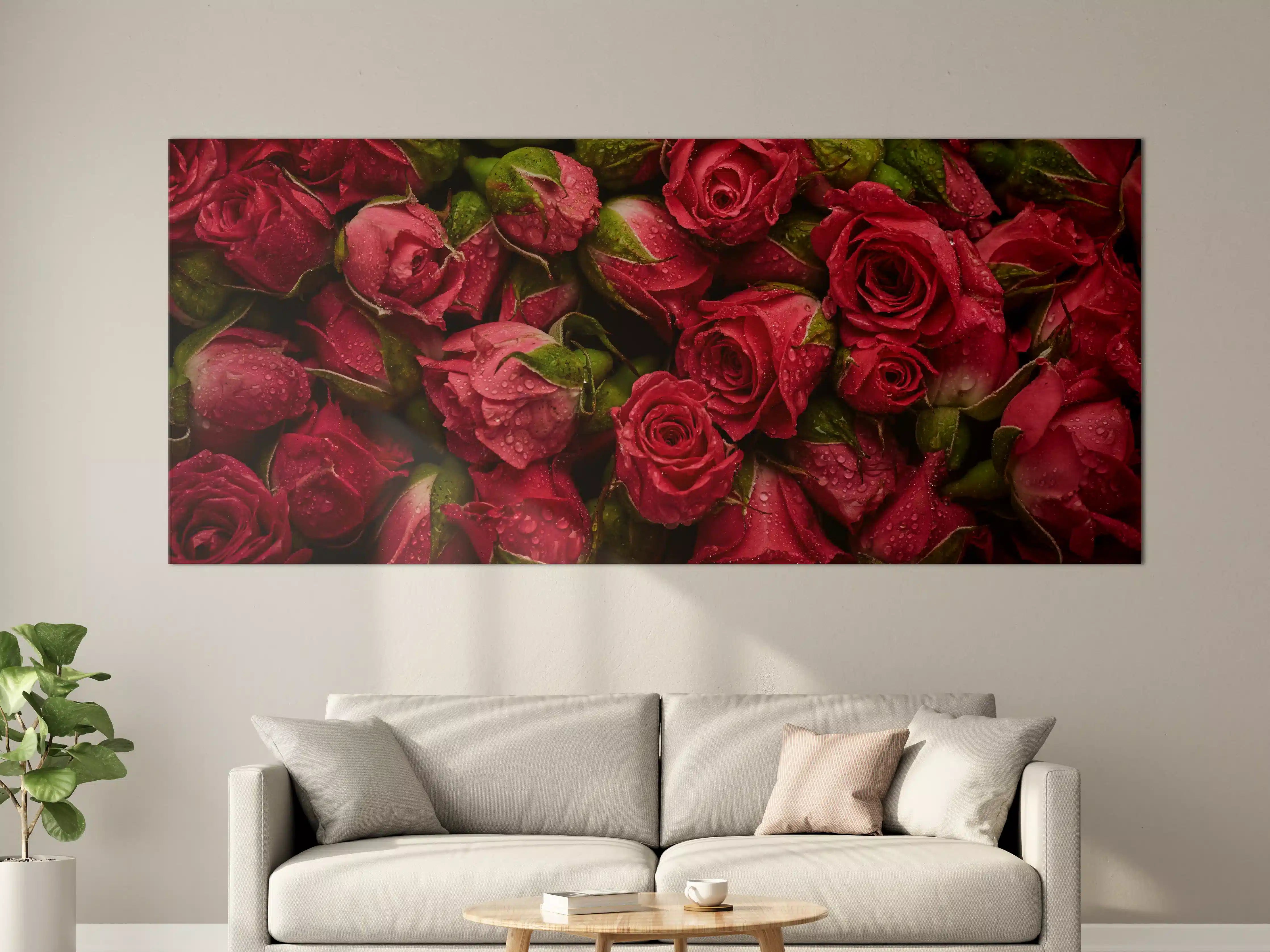 Große Wandbilder - Rote Rosen mit Regentropfen