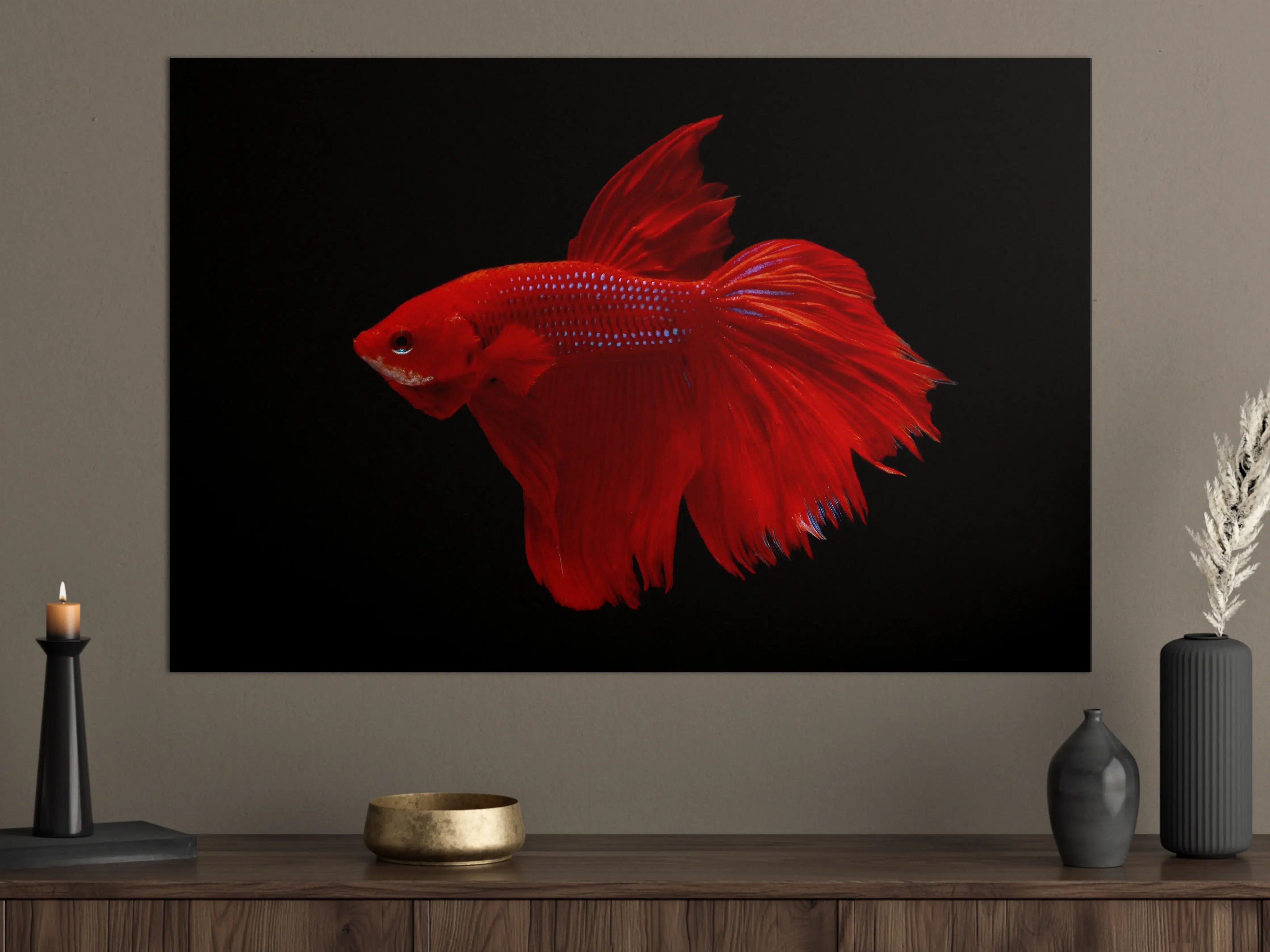 Große Wandbilder - Roter Betta-Kampffisch