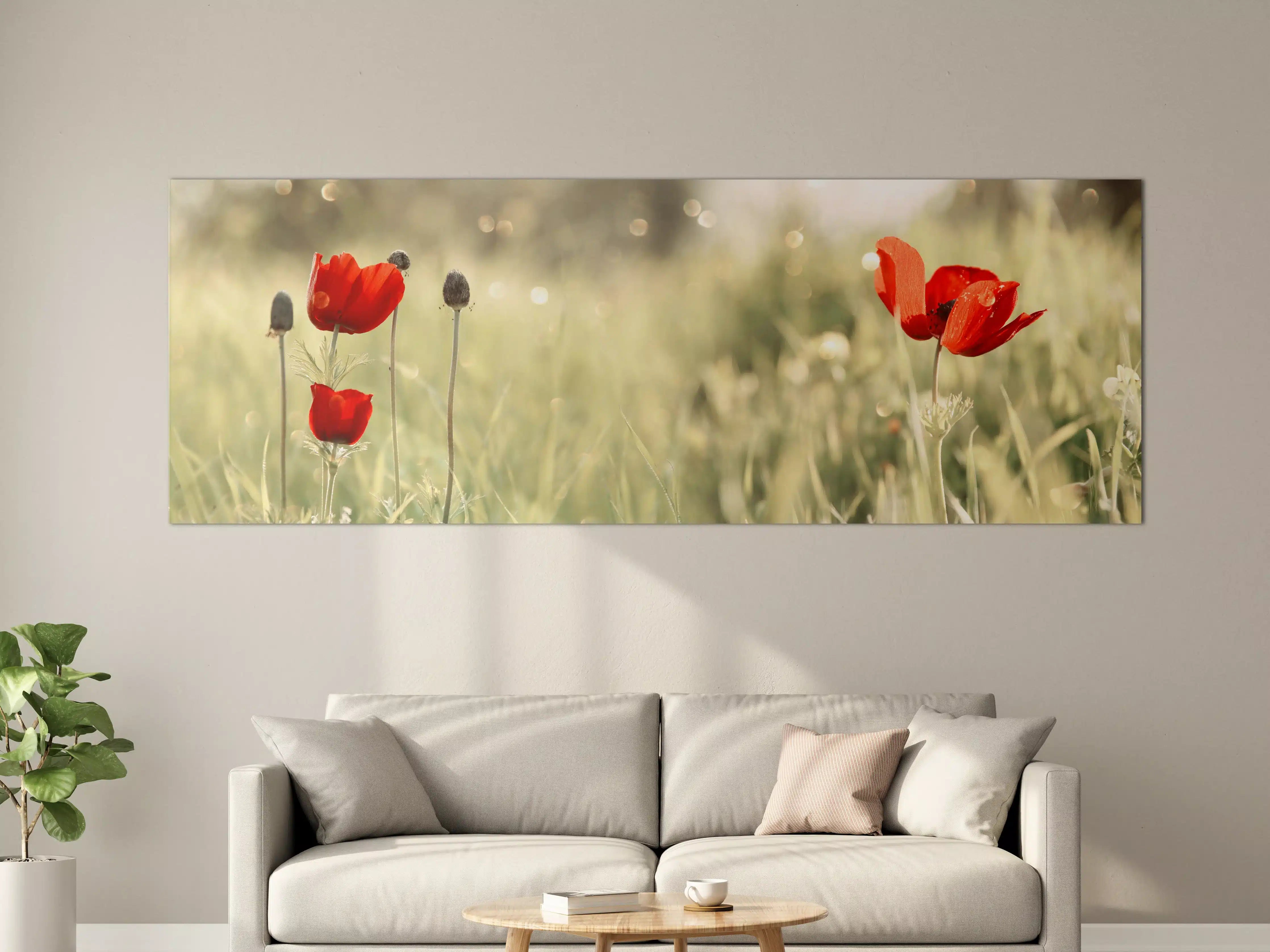 Große Wandbilder - Roter Mohn auf Wiese