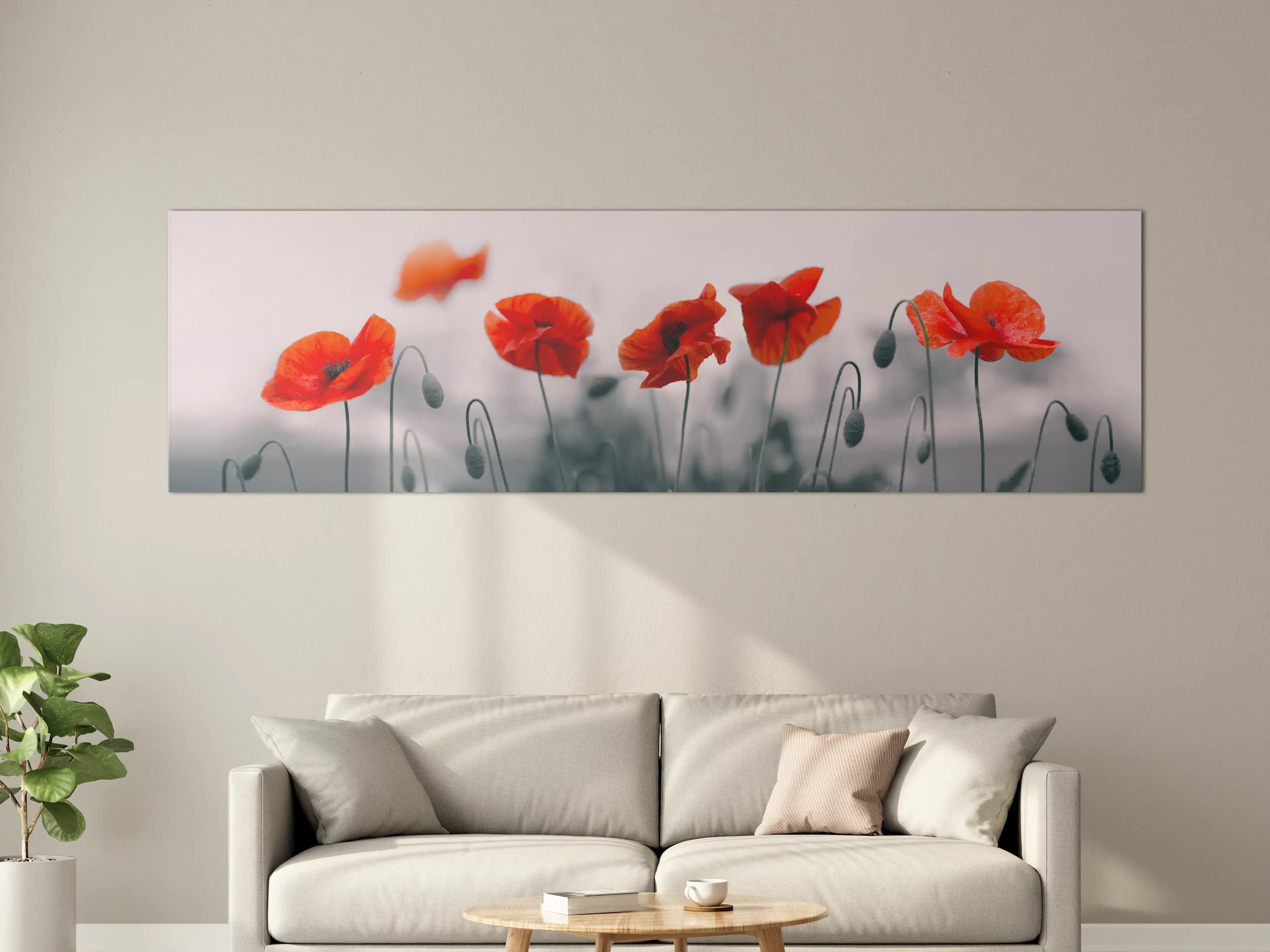Große Wandbilder - Roter Mohn auf hellem Hintergrund