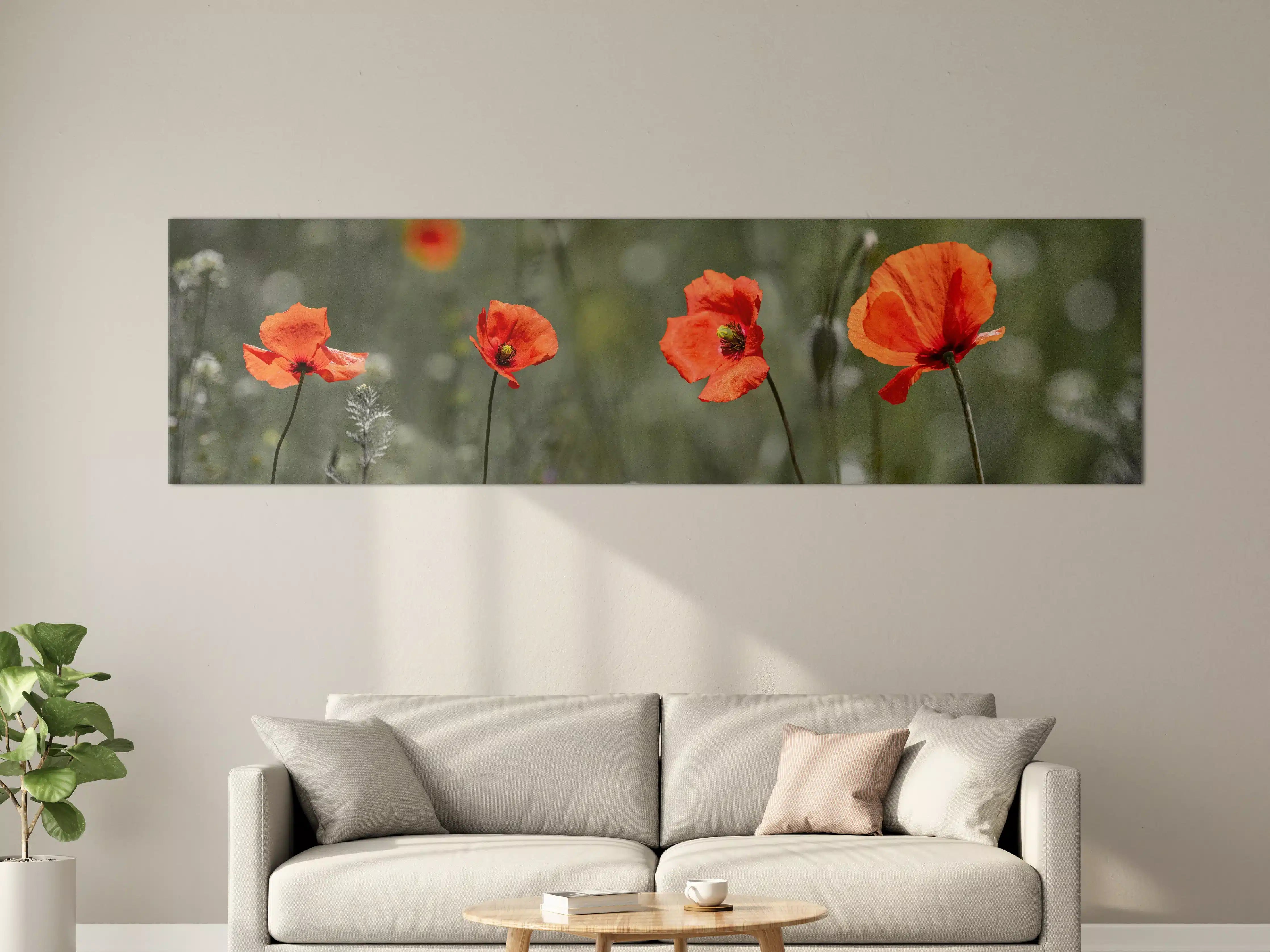 Große Wandbilder - Roter Mohn inmitten des Grüns