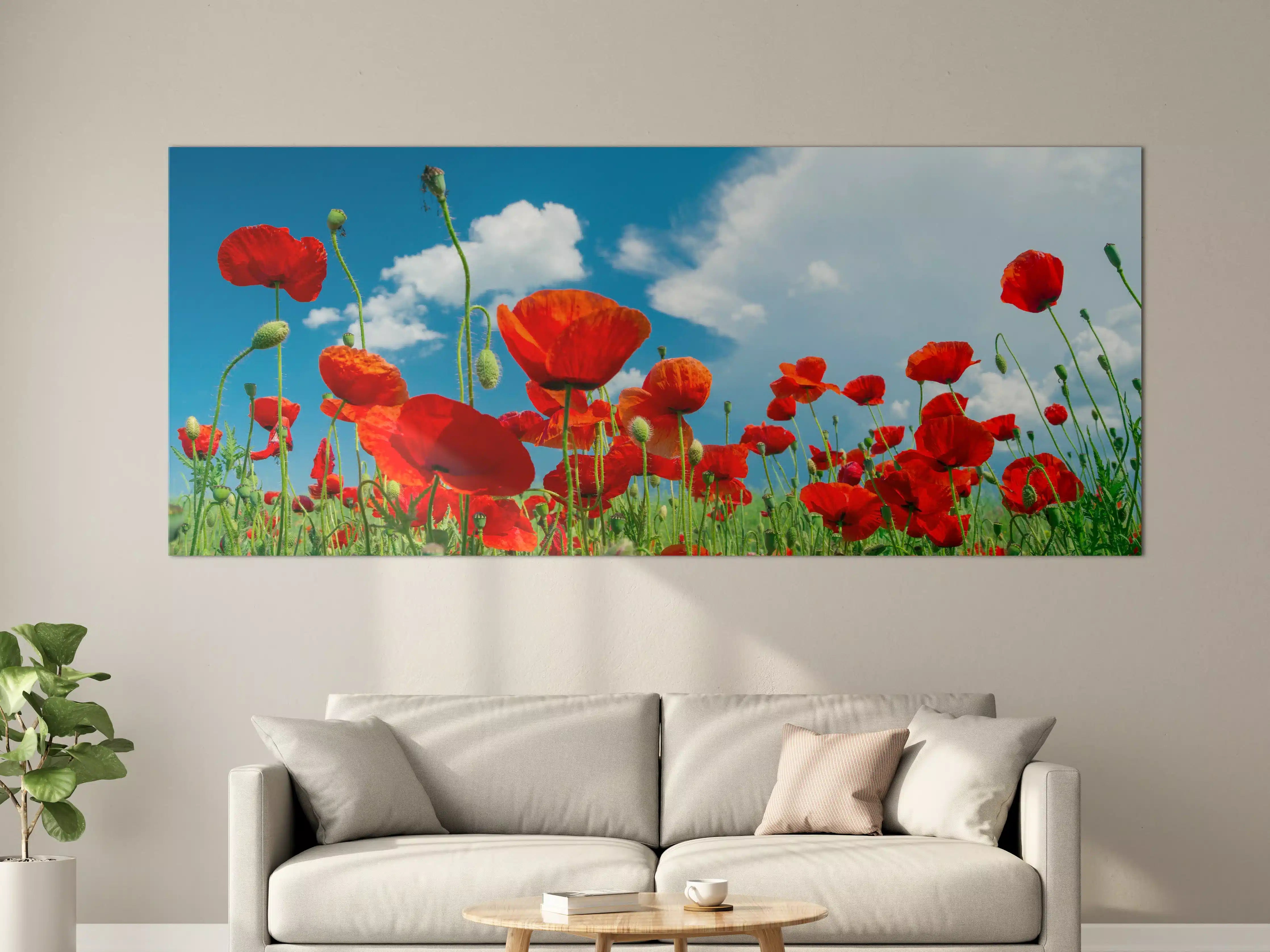 Große Wandbilder - Rotes Mohnblumenfeld