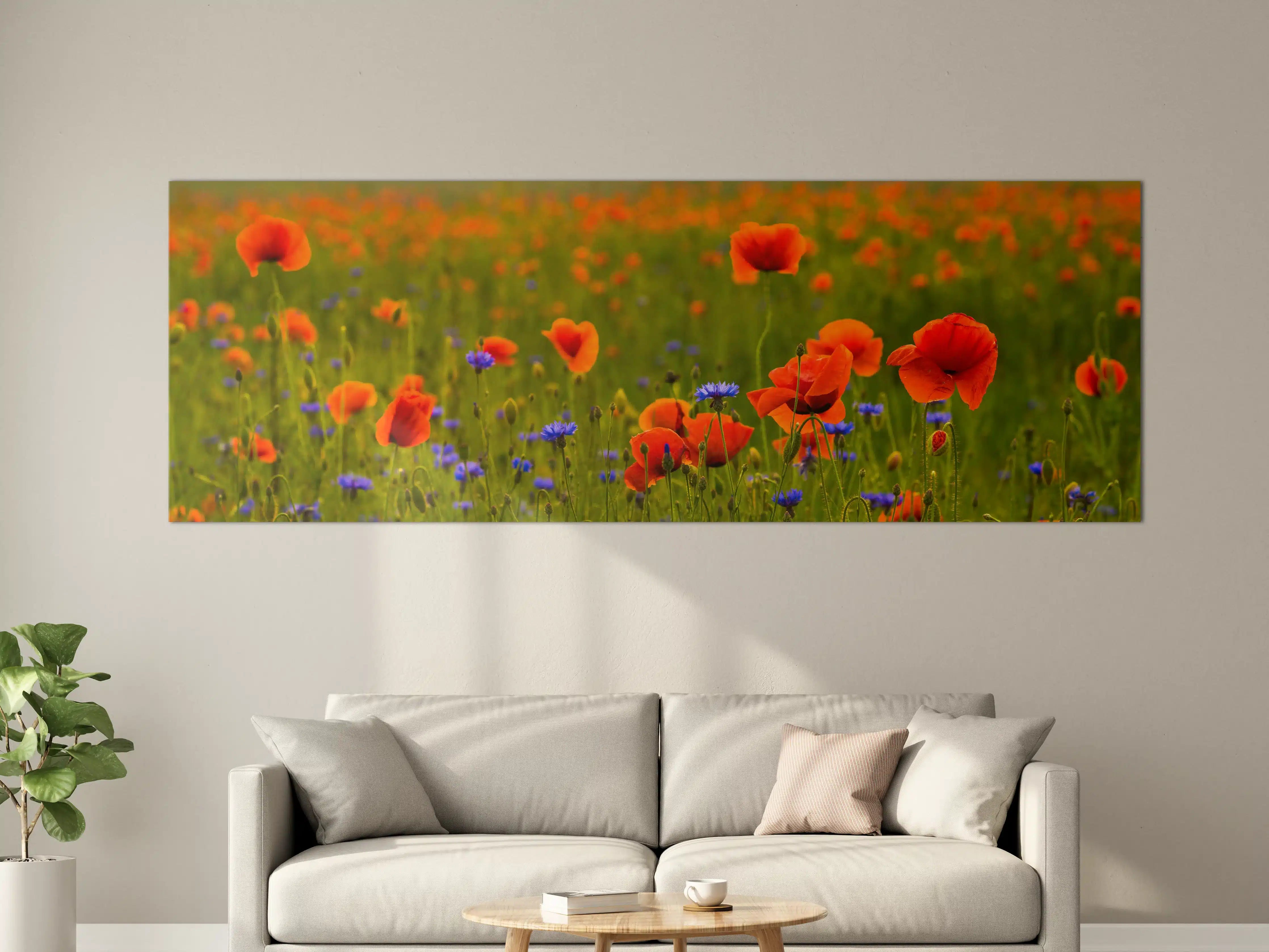 Große Wandbilder - Rotes Mohnfeld mit Kornblumen