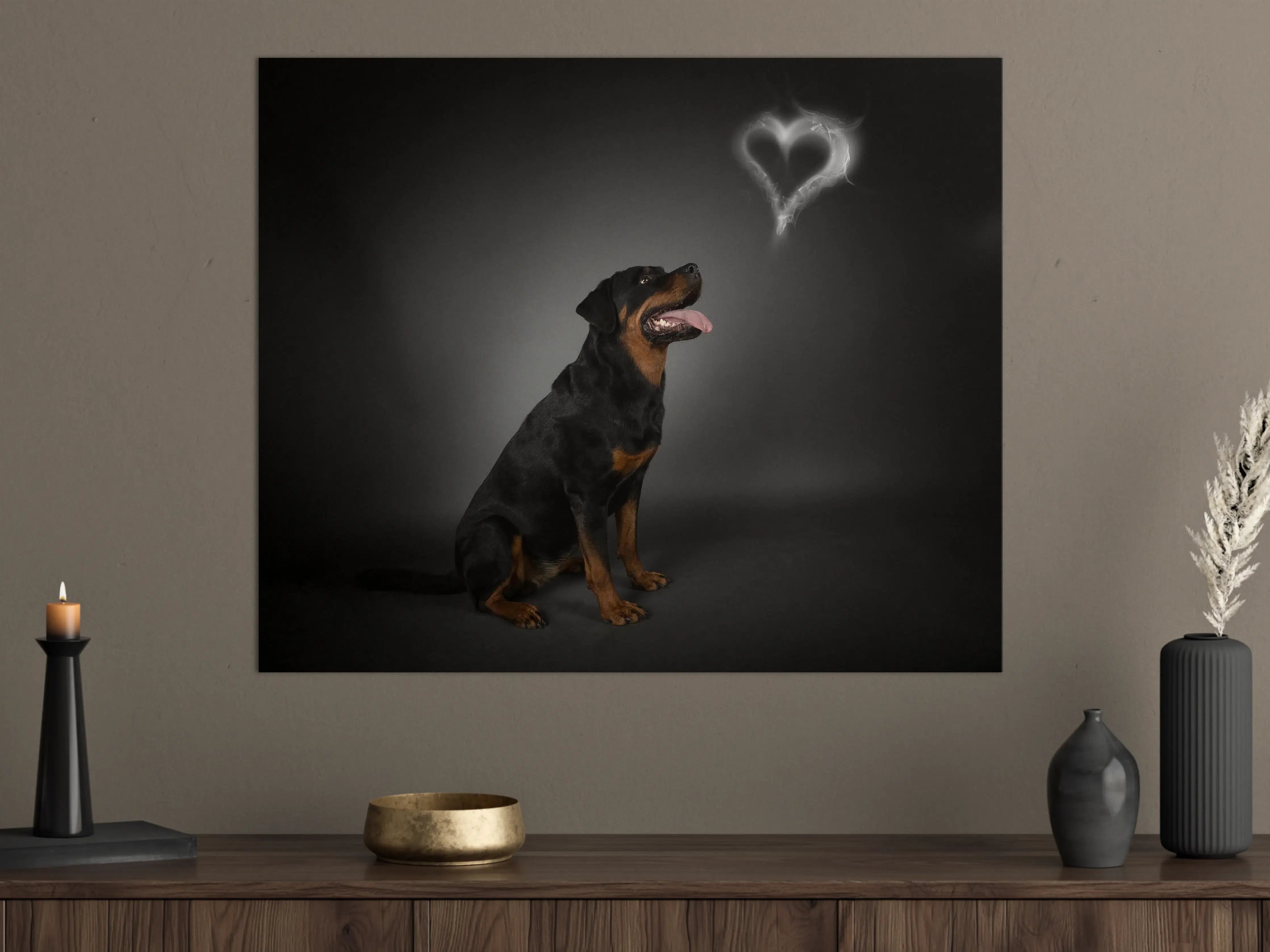 Große Wandbilder - Rottweiler sitzend mit Blick auf Herz