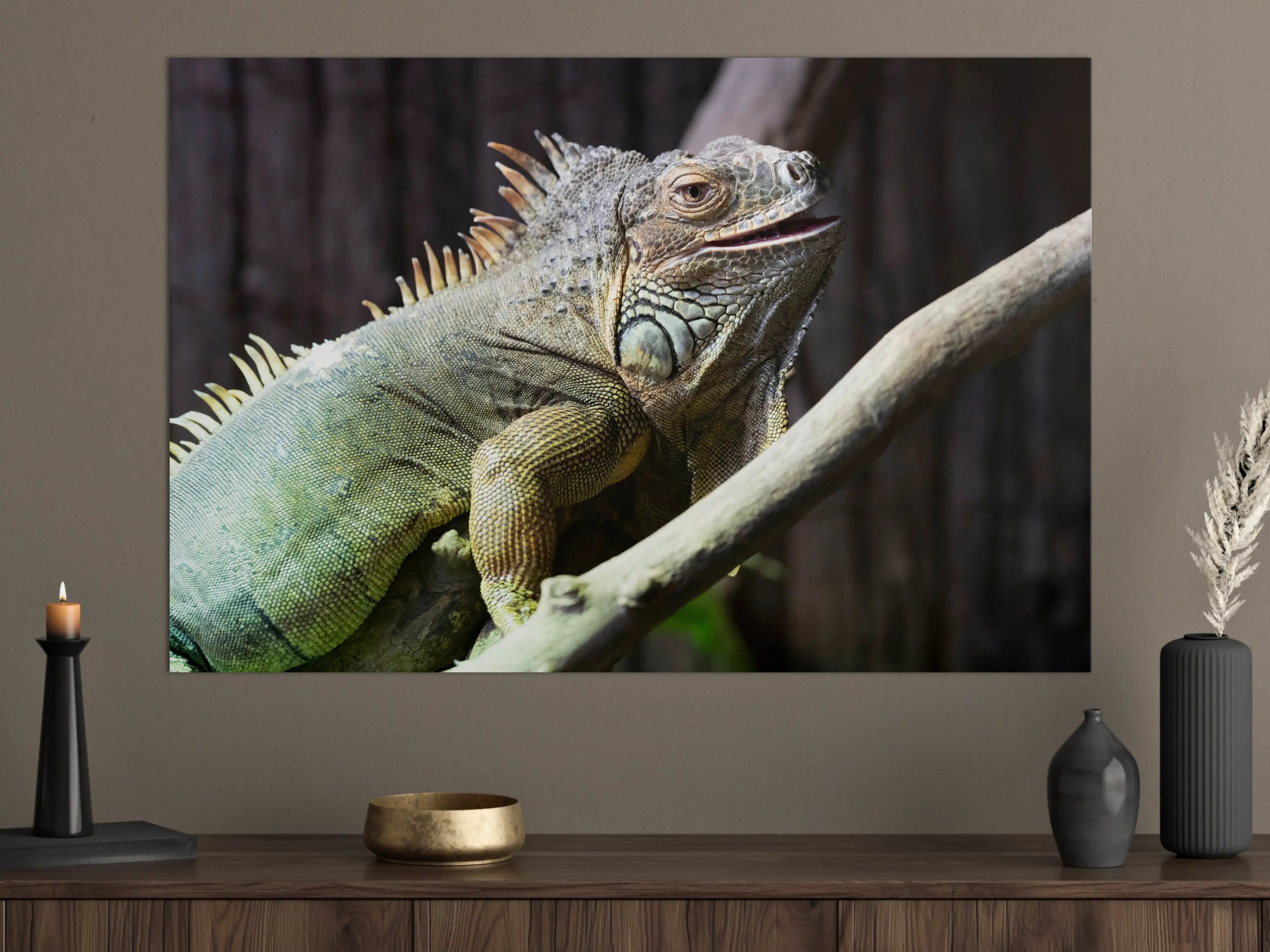 Große Wandbilder - Ruhender Leguan