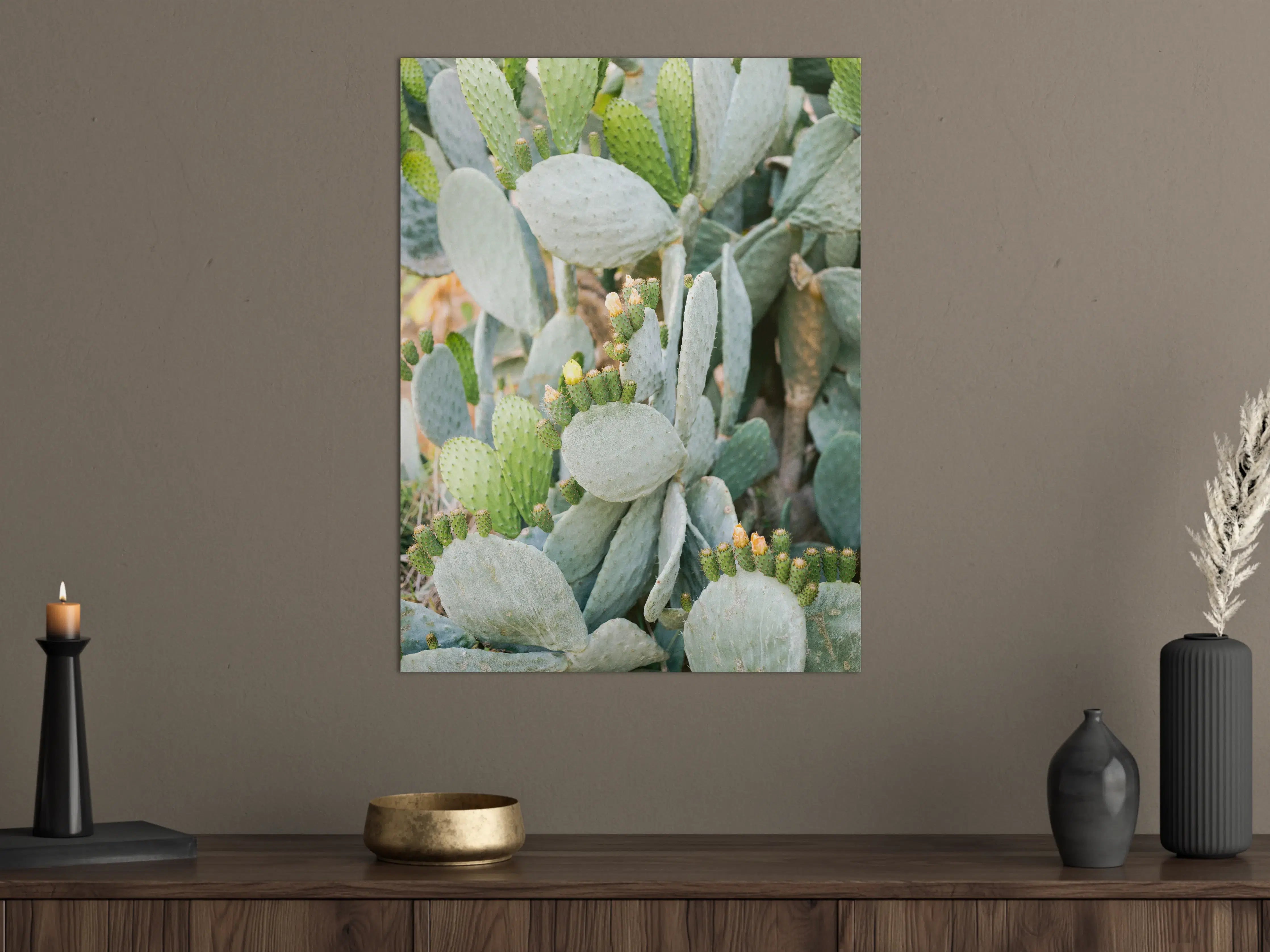 Große Wandbilder - Saftige Prickly Pear Kakteen