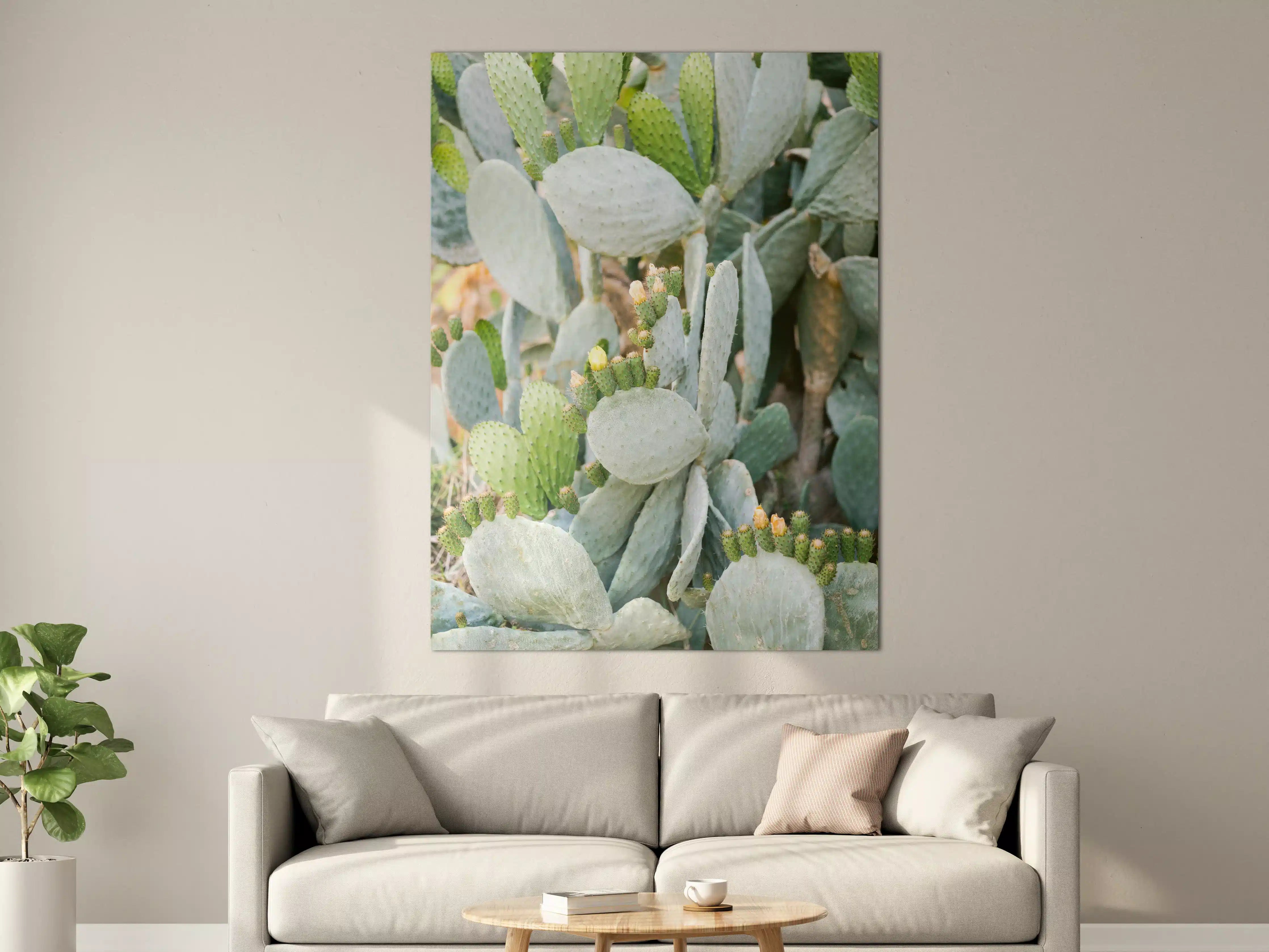 Große Wandbilder - Saftige Prickly Pear Kakteen