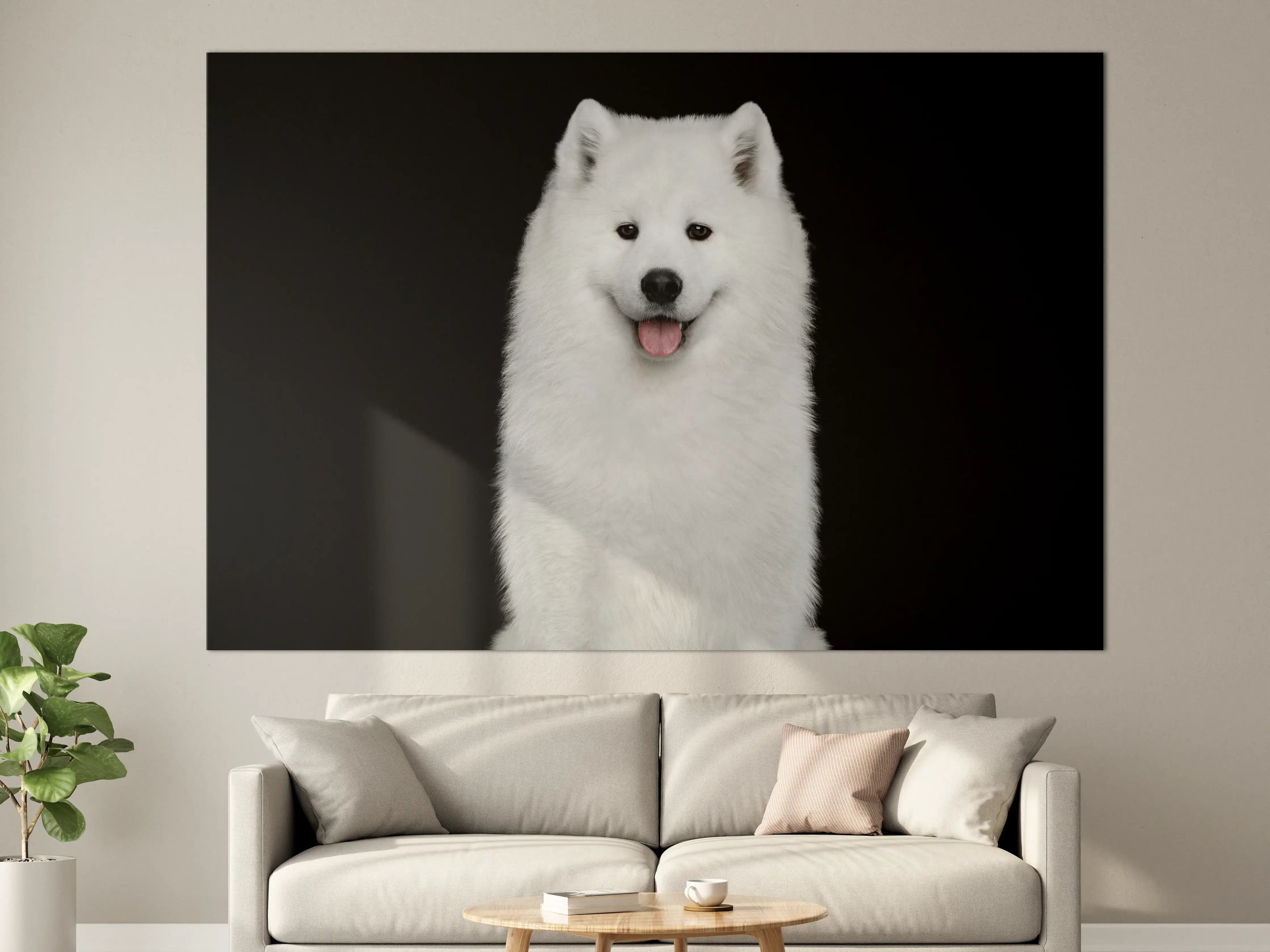 Große Wandbilder - Samojeden Hund