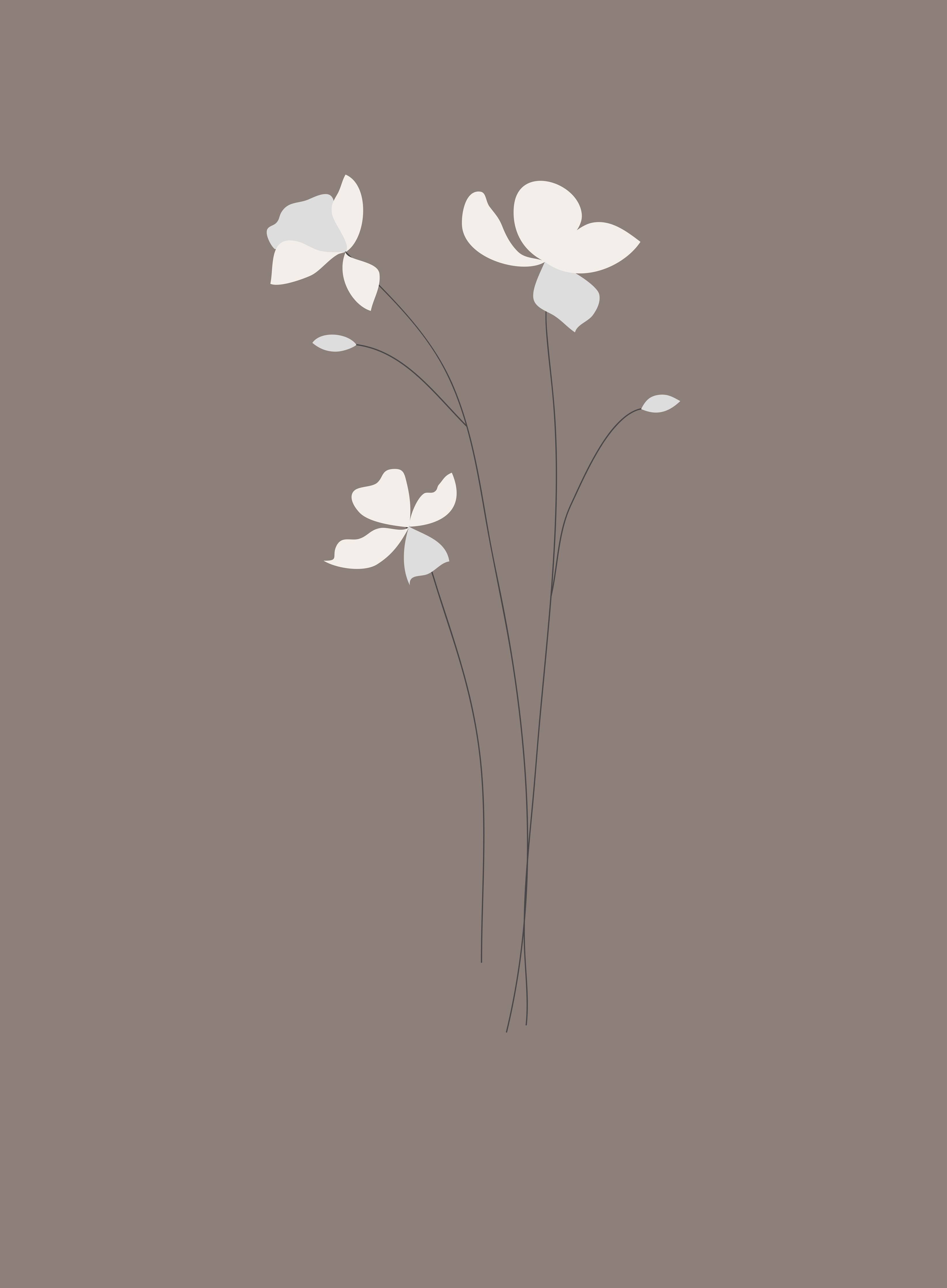 Große Wandbilder-Sanfte Blumenillustration auf taupefarbenem Hintergrund