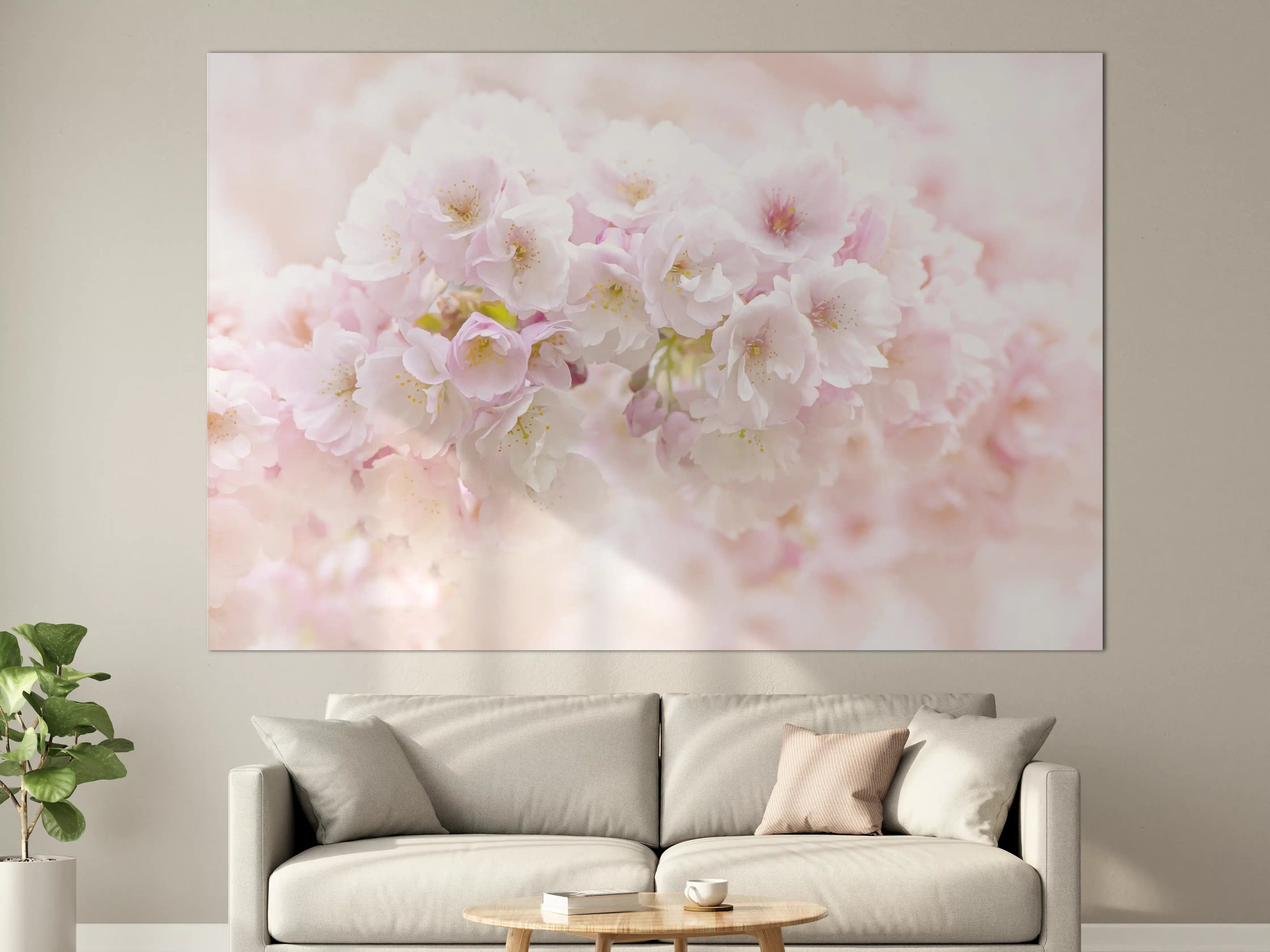 Große Wandbilder - Sanfte Kirschblüten in Pastellrosa