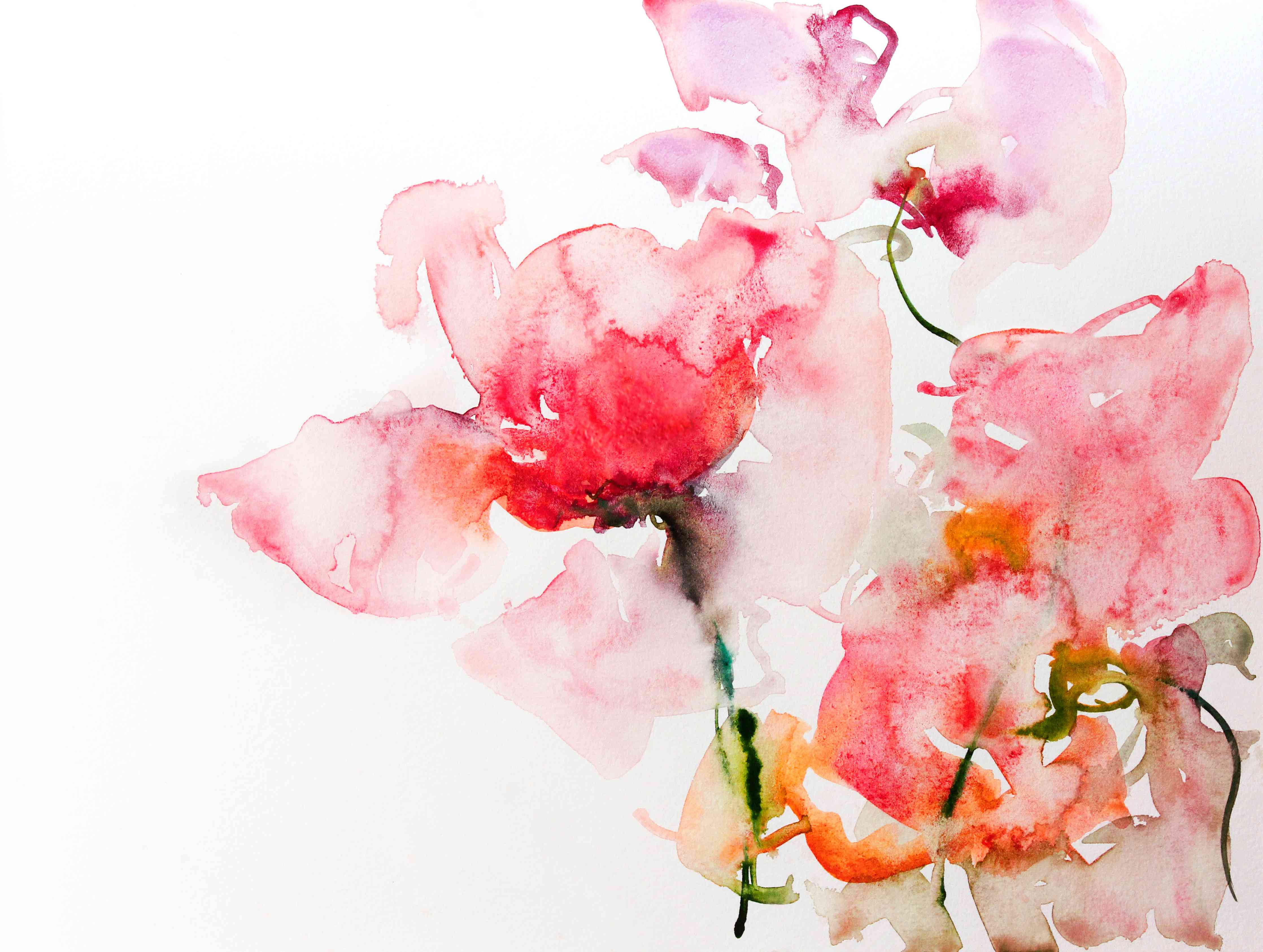 Große Wandbilder-Sanfte rosa Blumen in Aquarelltechnik