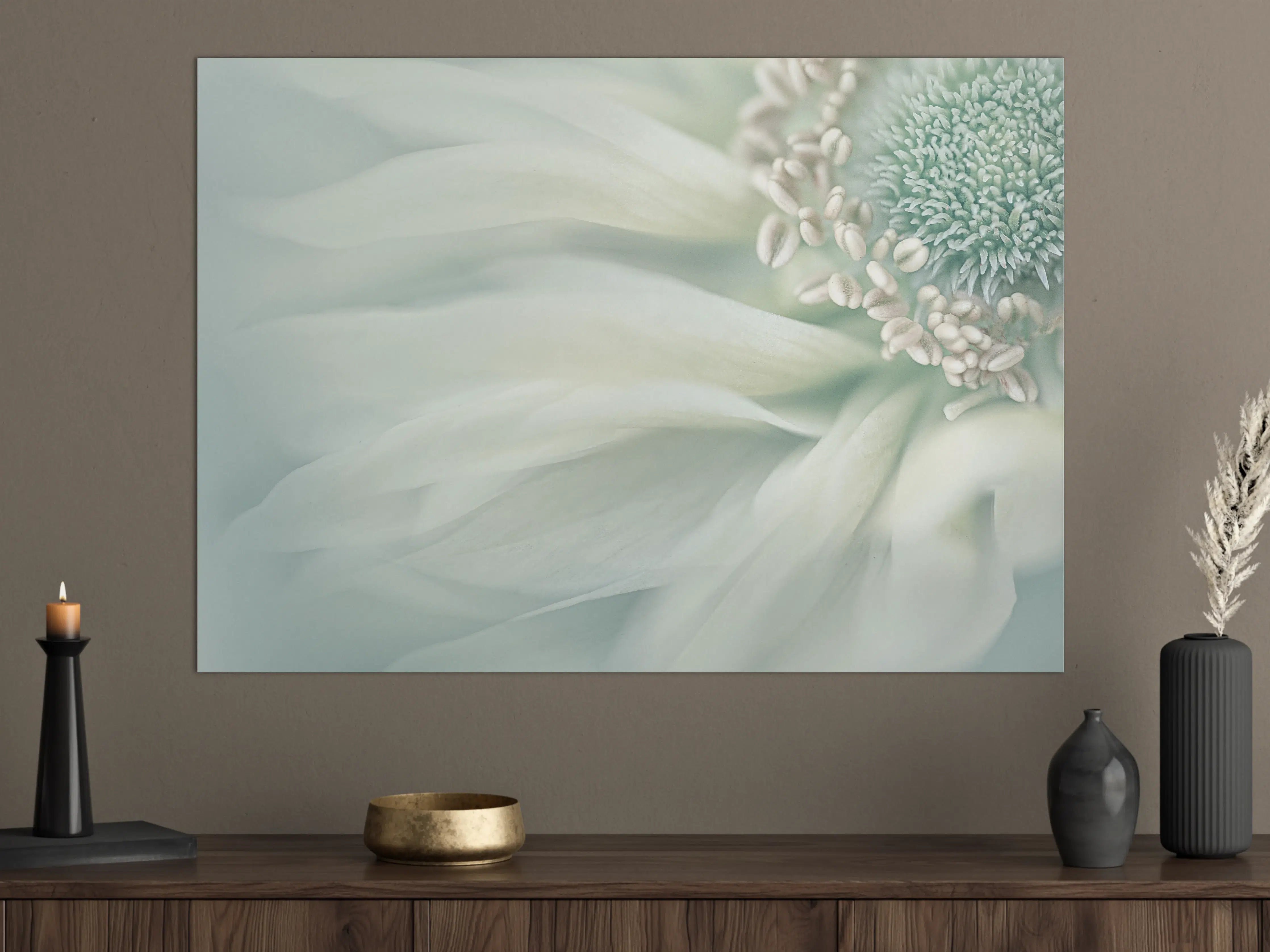 Große Wandbilder - Sanfte weiße Blume mit zarter Textur
