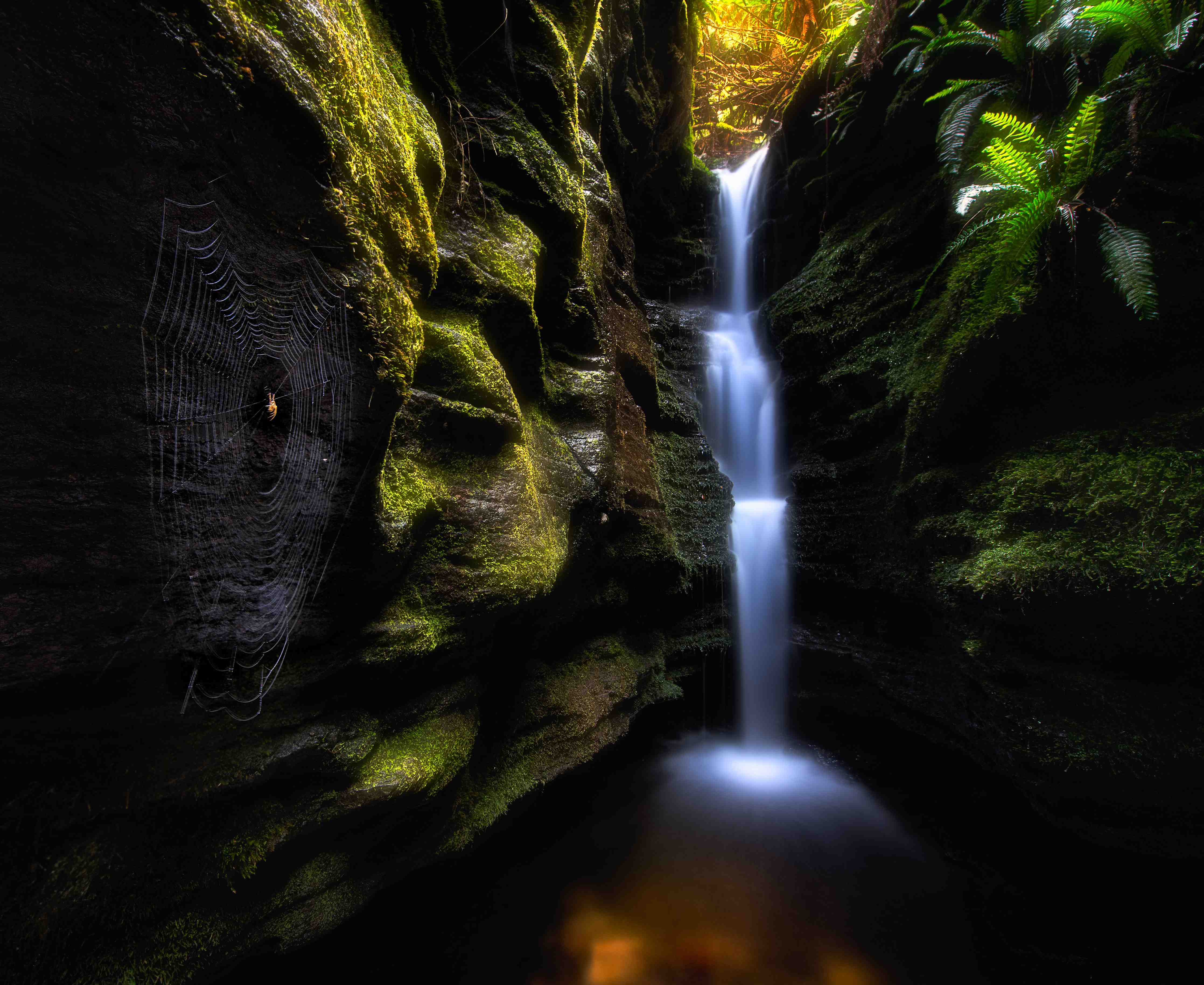 Große Wandbilder-Sanfter Wasserfall in grünem Tal