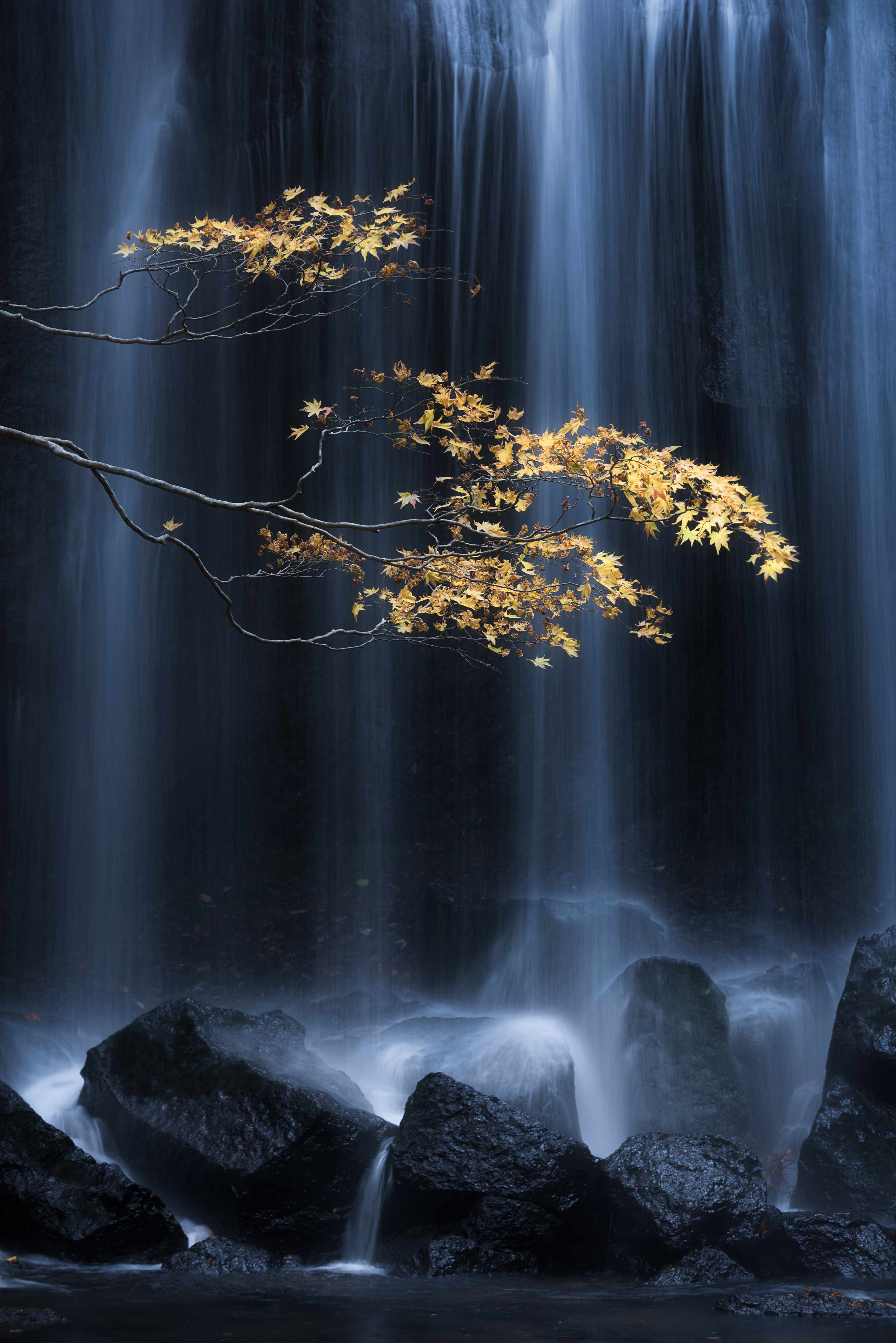 Große Wandbilder-Sanfter Wasserfall mit herbstlichem Ahornblatt