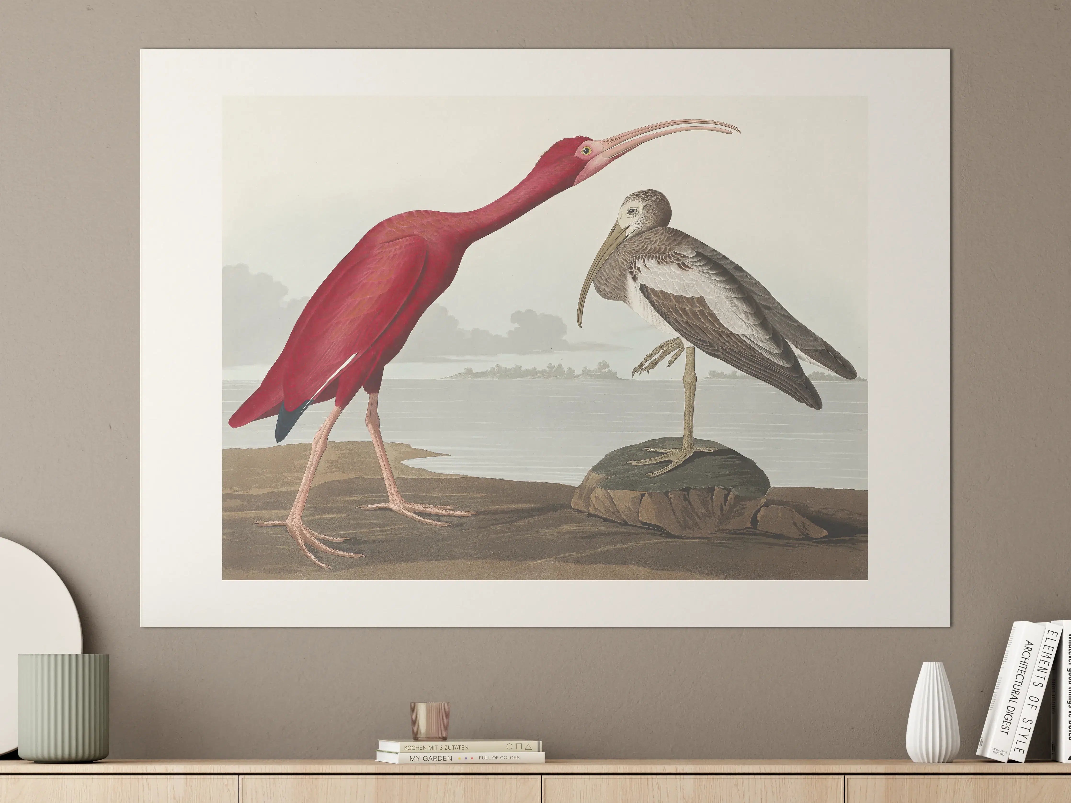 Große Wandbilder - Scharlachsichler Portrait - John James Audubon