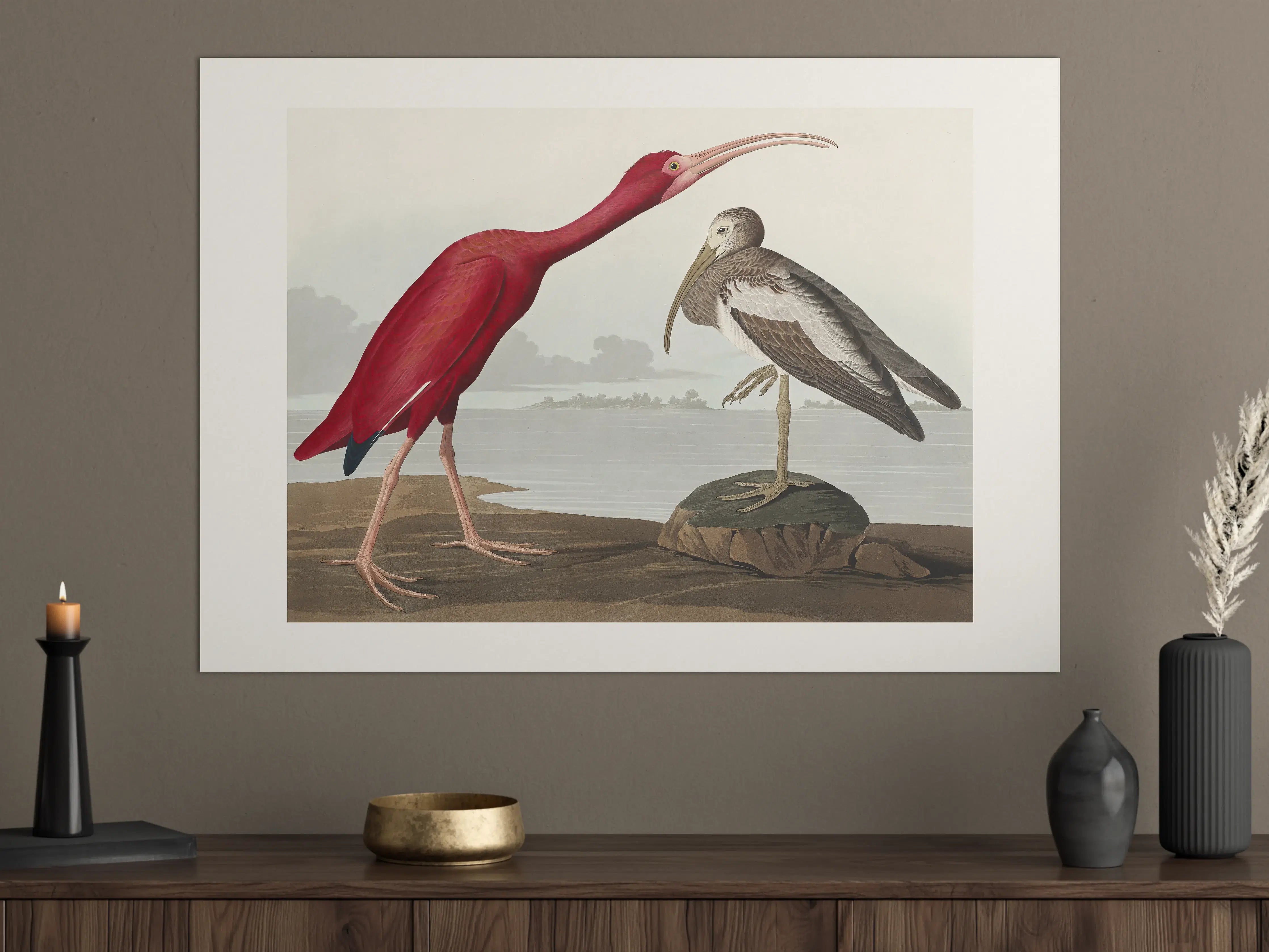 Große Wandbilder - Scharlachsichler Portrait - John James Audubon