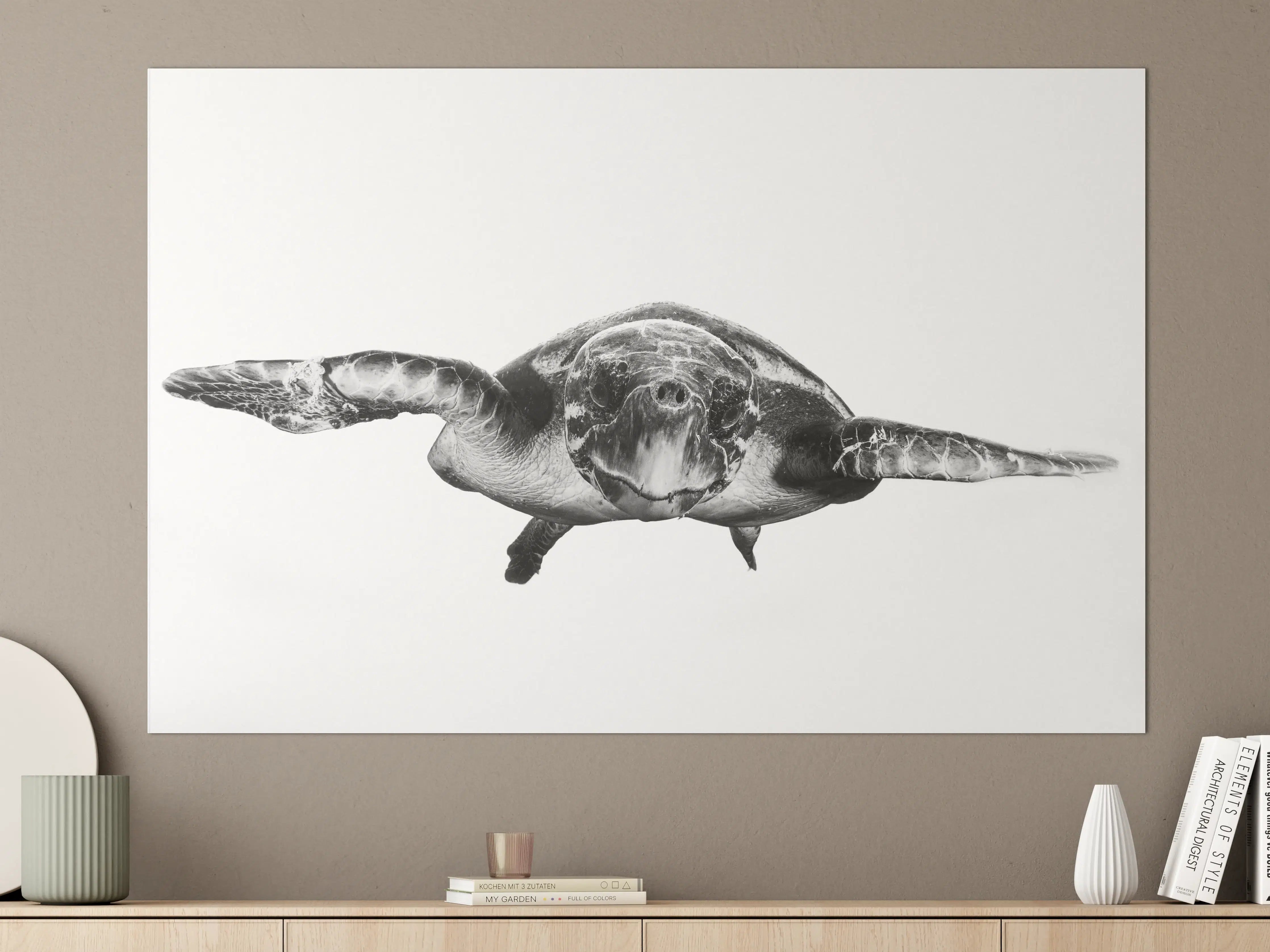 Große Wandbilder - Schildkröte