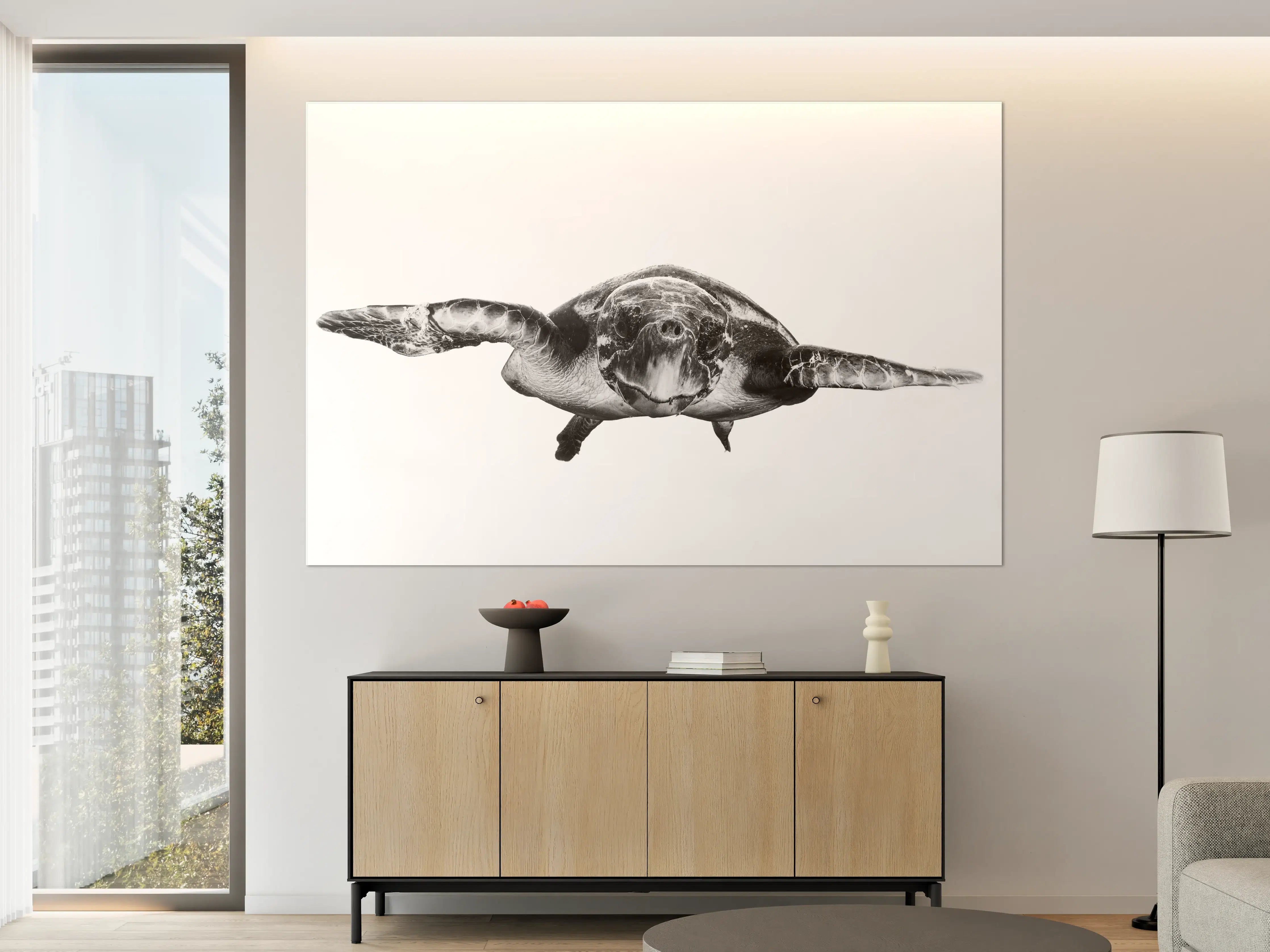 Große Wandbilder - Schildkröte