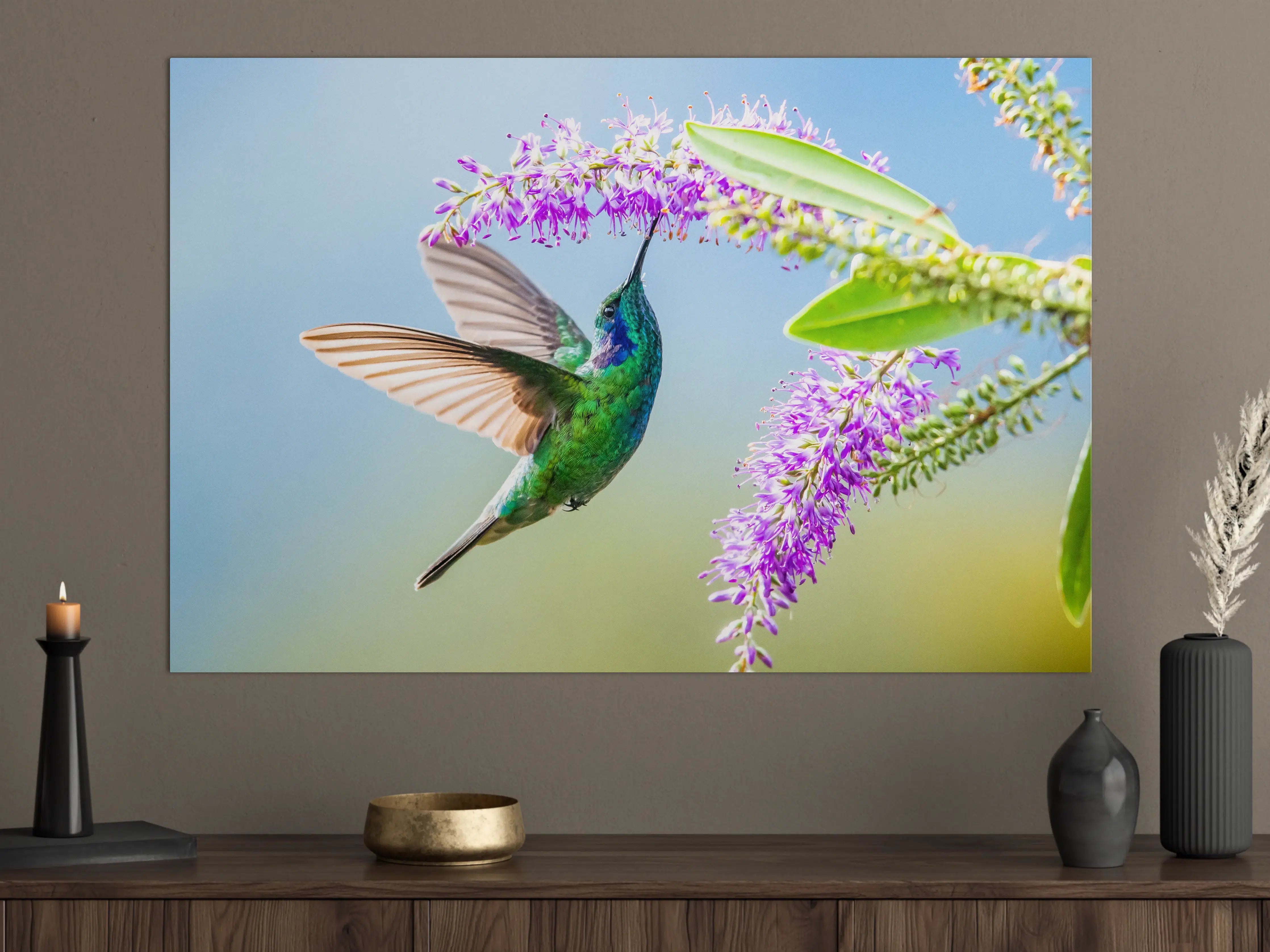 Große Wandbilder - Schimmernder Kolibri mit Lavendelblüten