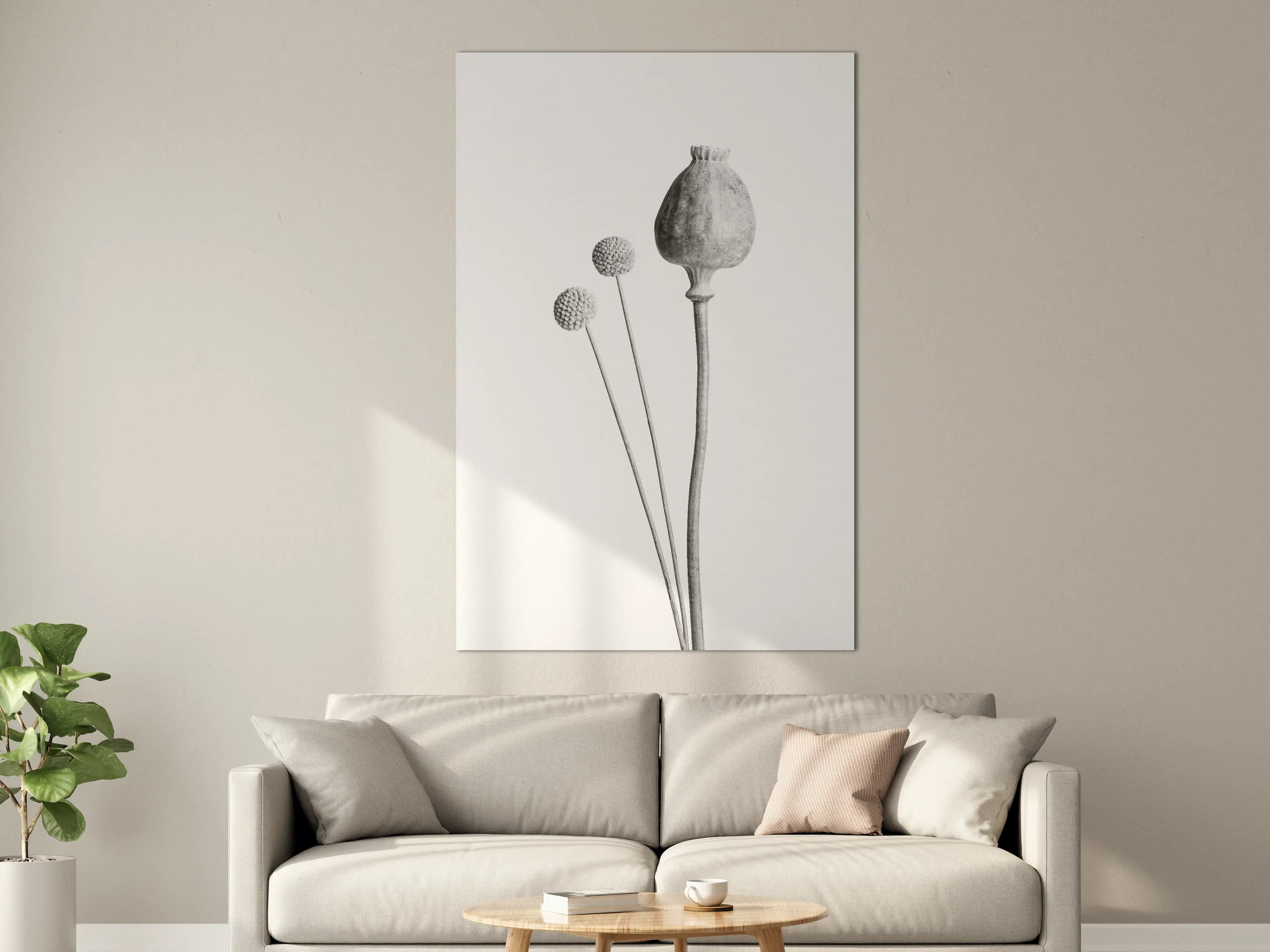 Große Wandbilder - Schlichte Blumenstudie in Schwarz-Weiß
