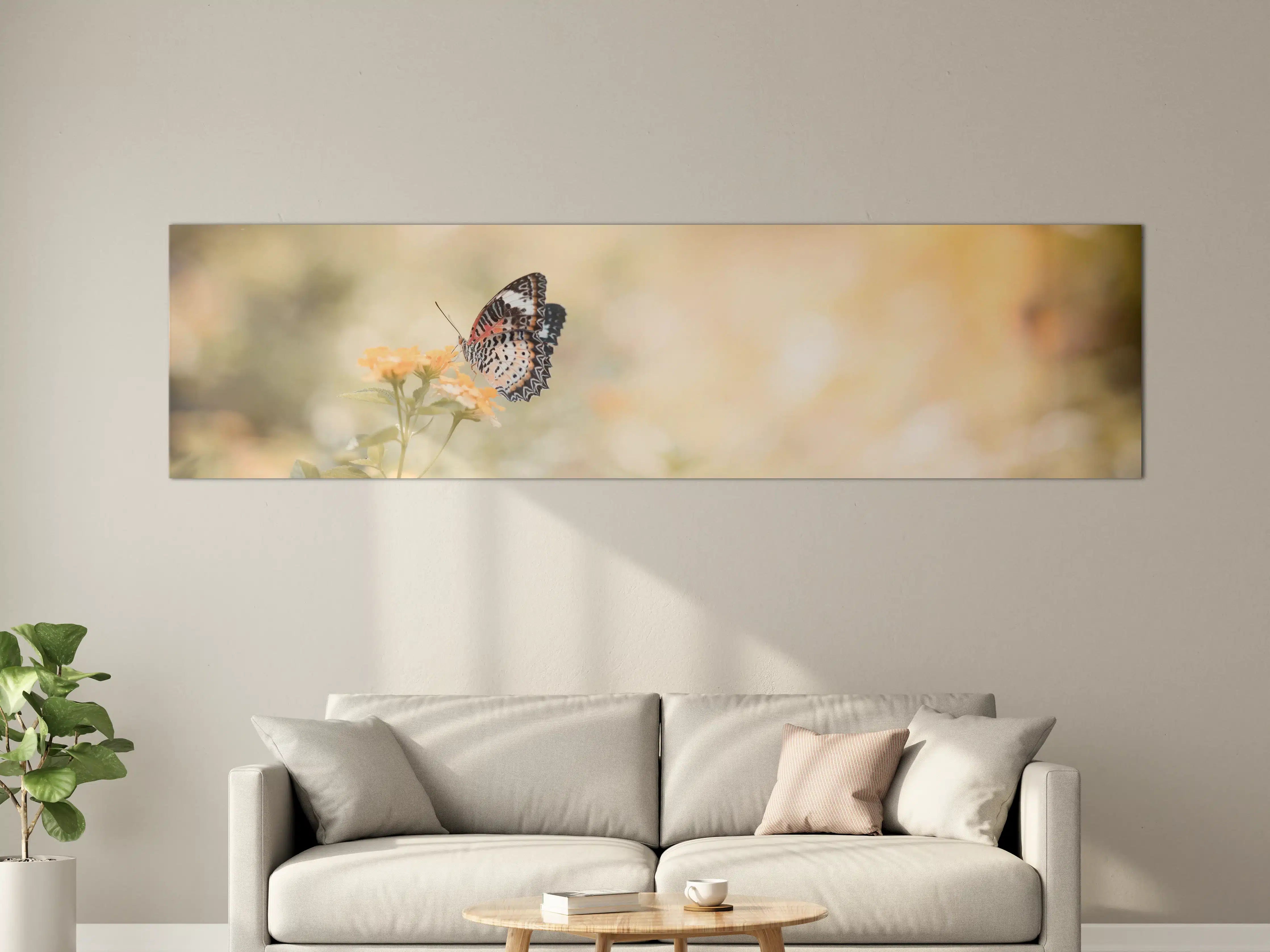 Große Wandbilder - Schmetterling auf eine orangene Blume