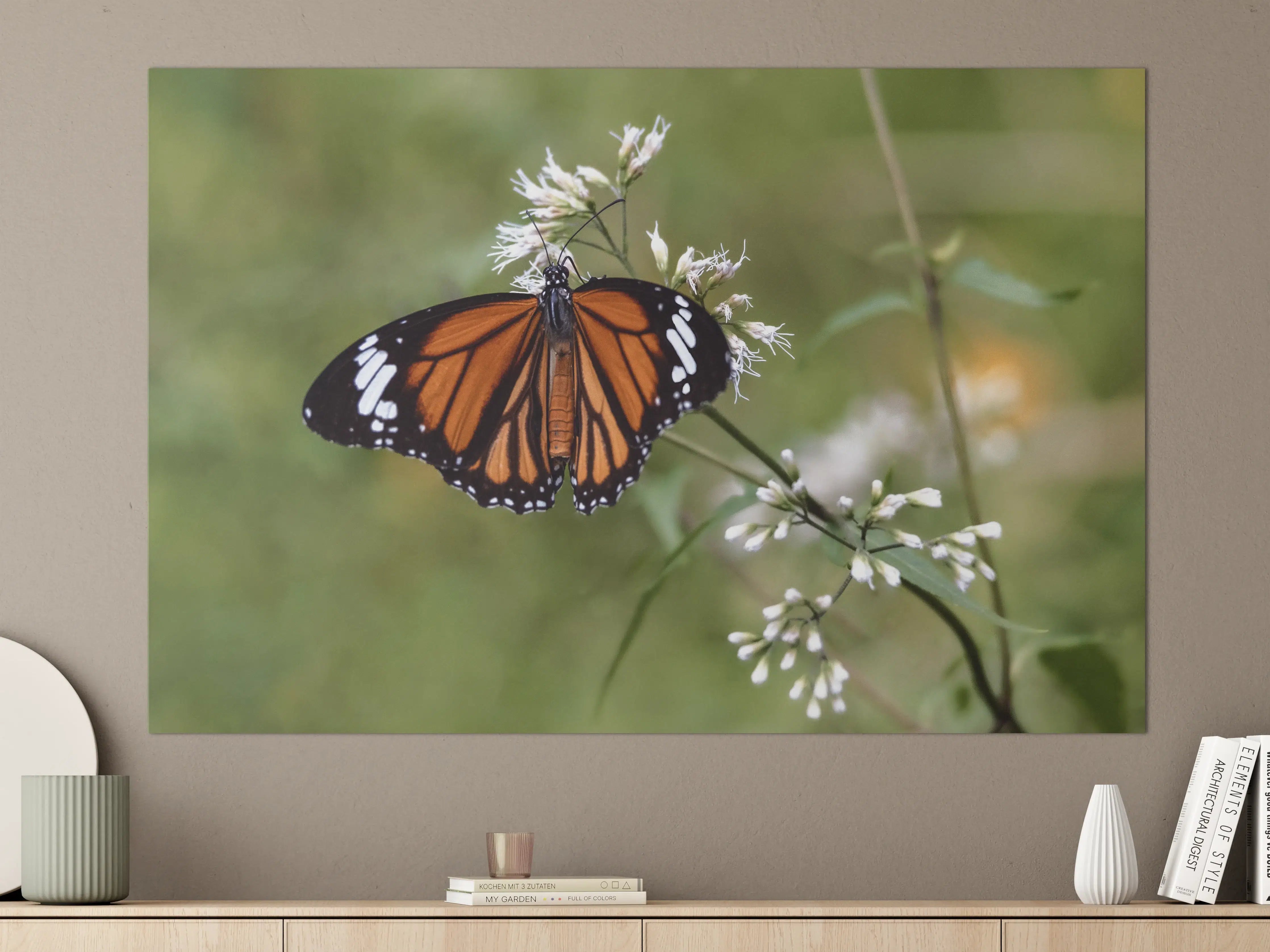 Große Wandbilder - Schmetterling auf weißen Blüten