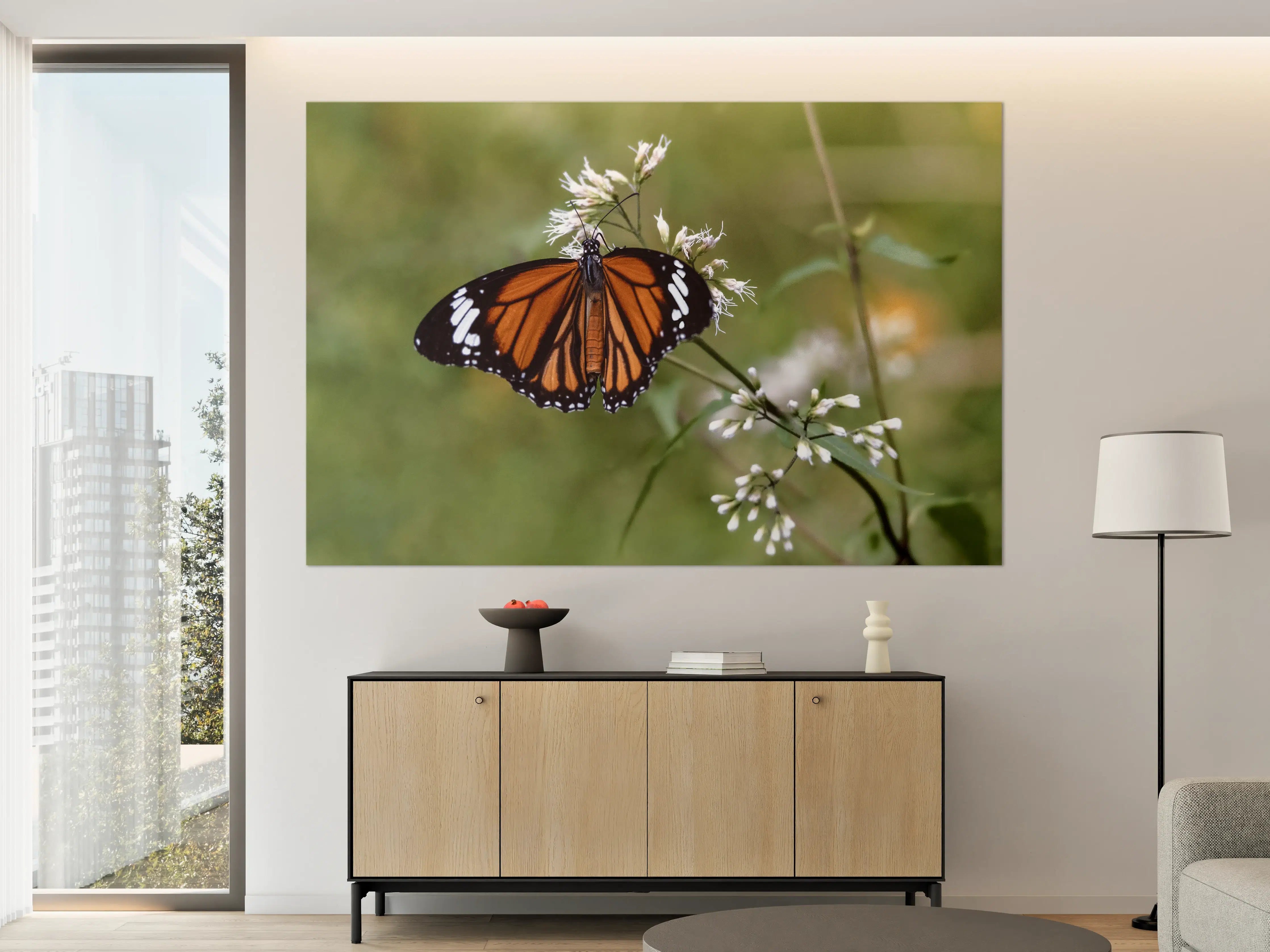 Große Wandbilder - Schmetterling auf weißen Blüten