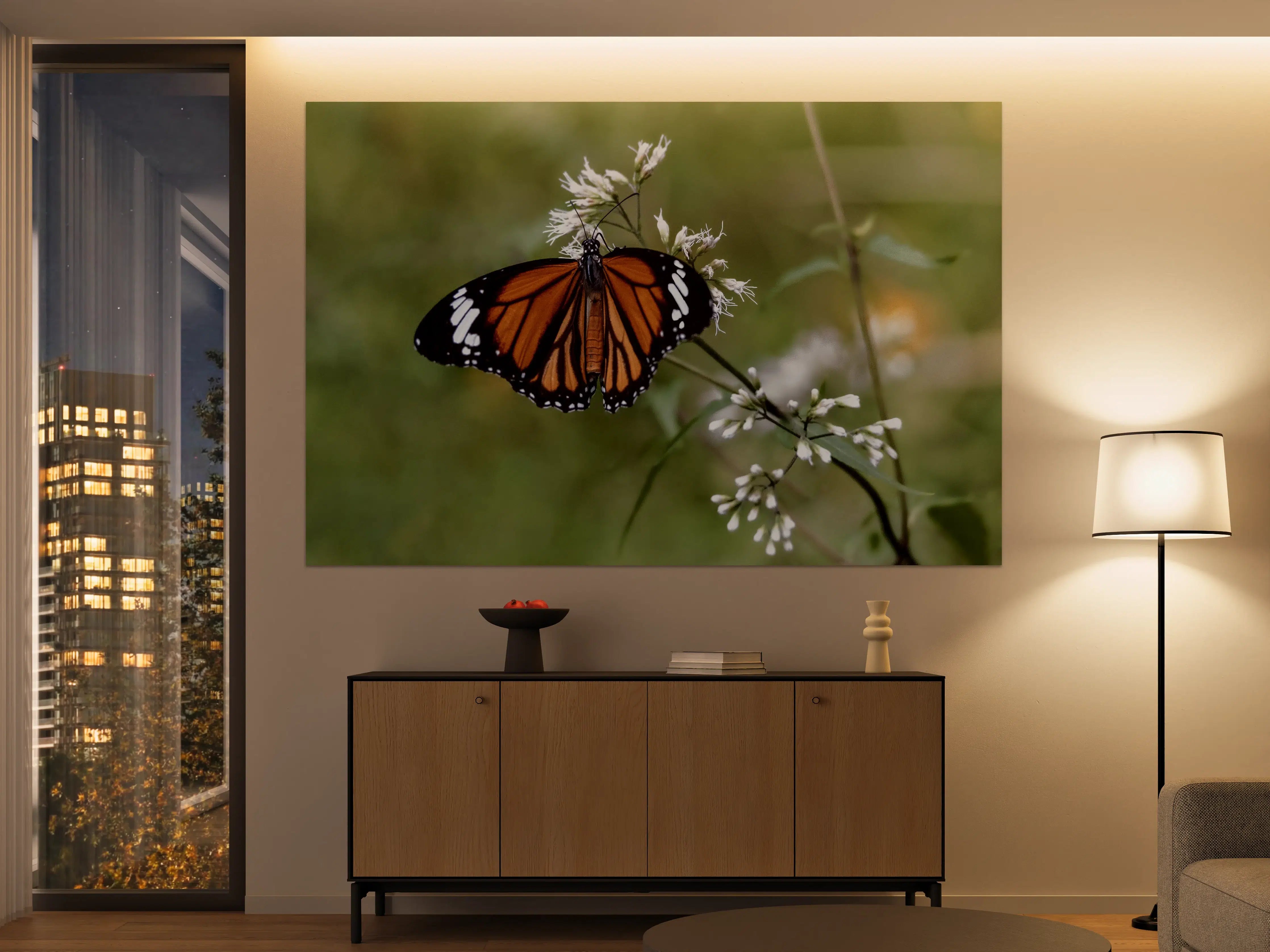 Große Wandbilder - Schmetterling auf weißen Blüten