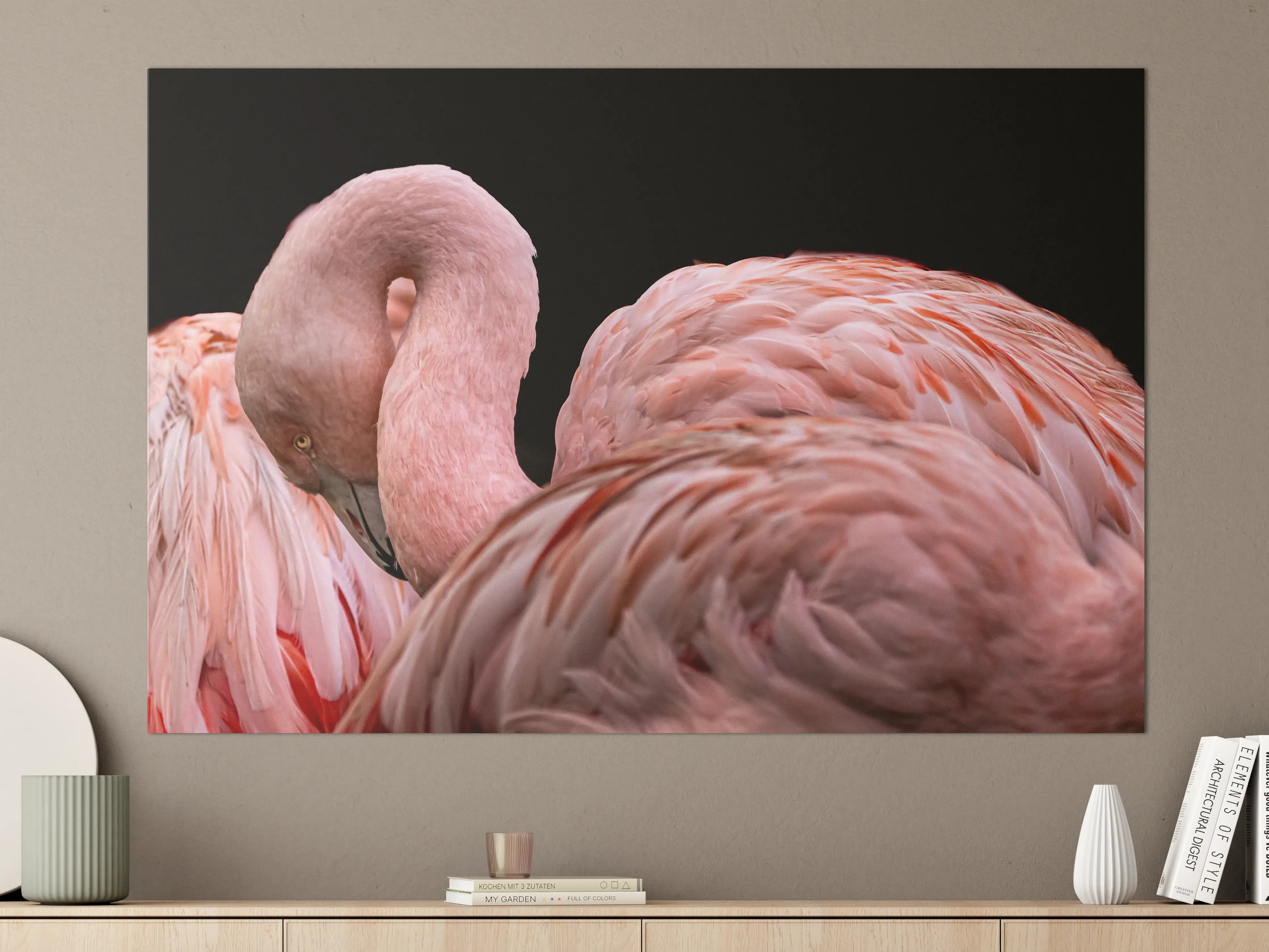 Große Wandbilder - Schnappschuss eines Flamingo