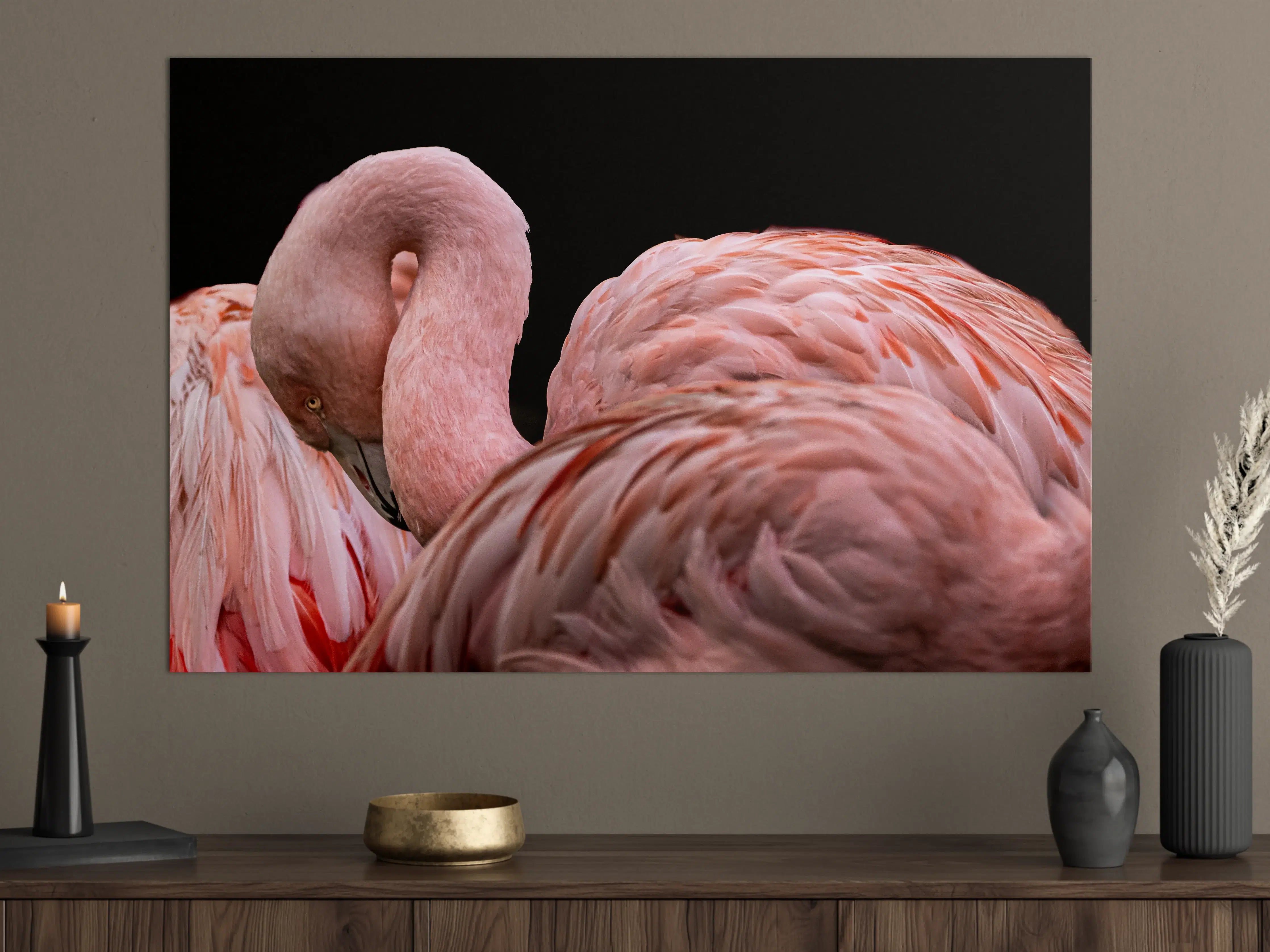 Große Wandbilder - Schnappschuss eines Flamingo