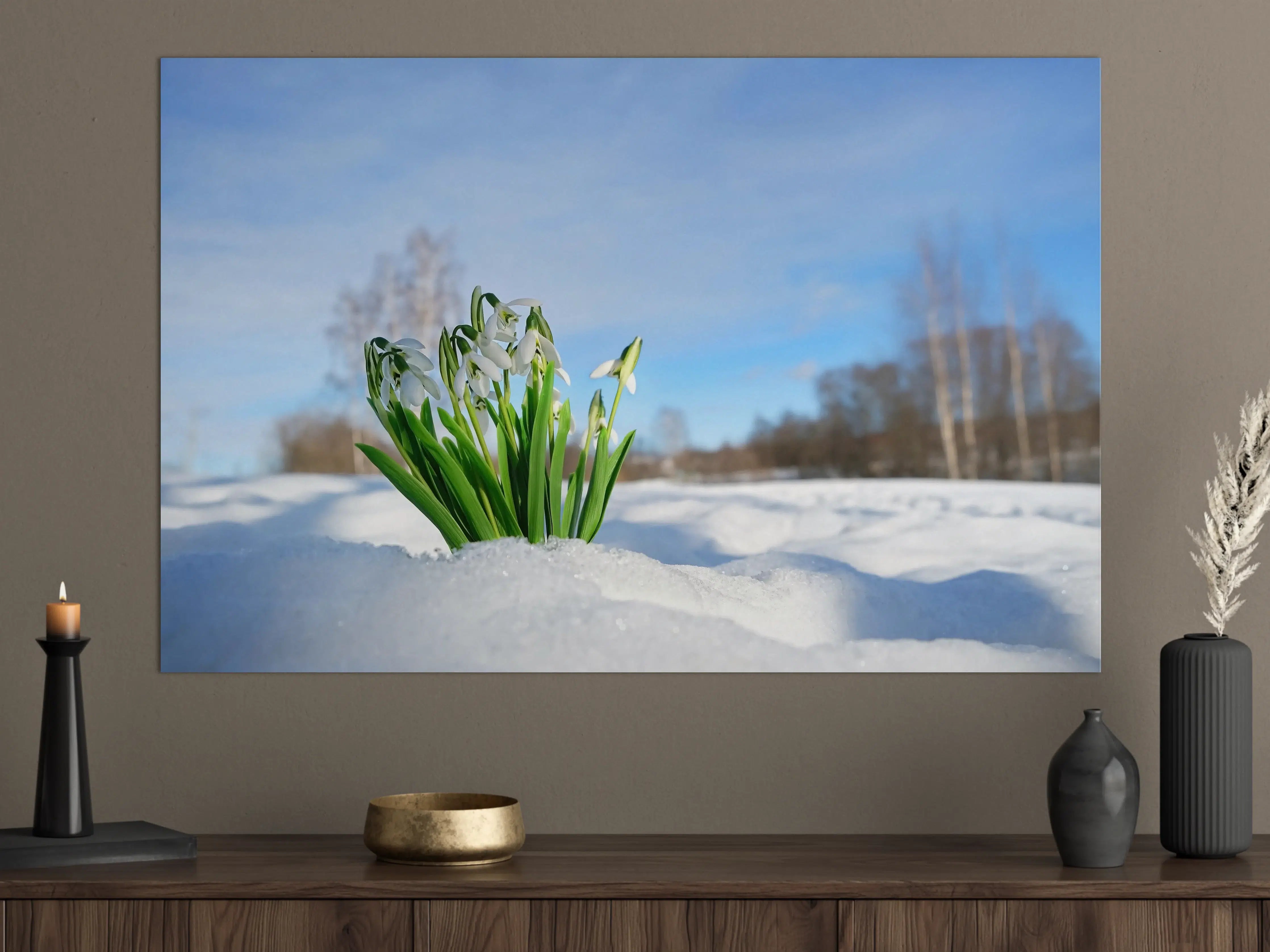 Große Wandbilder - Schneeglöckchen im Schnee
