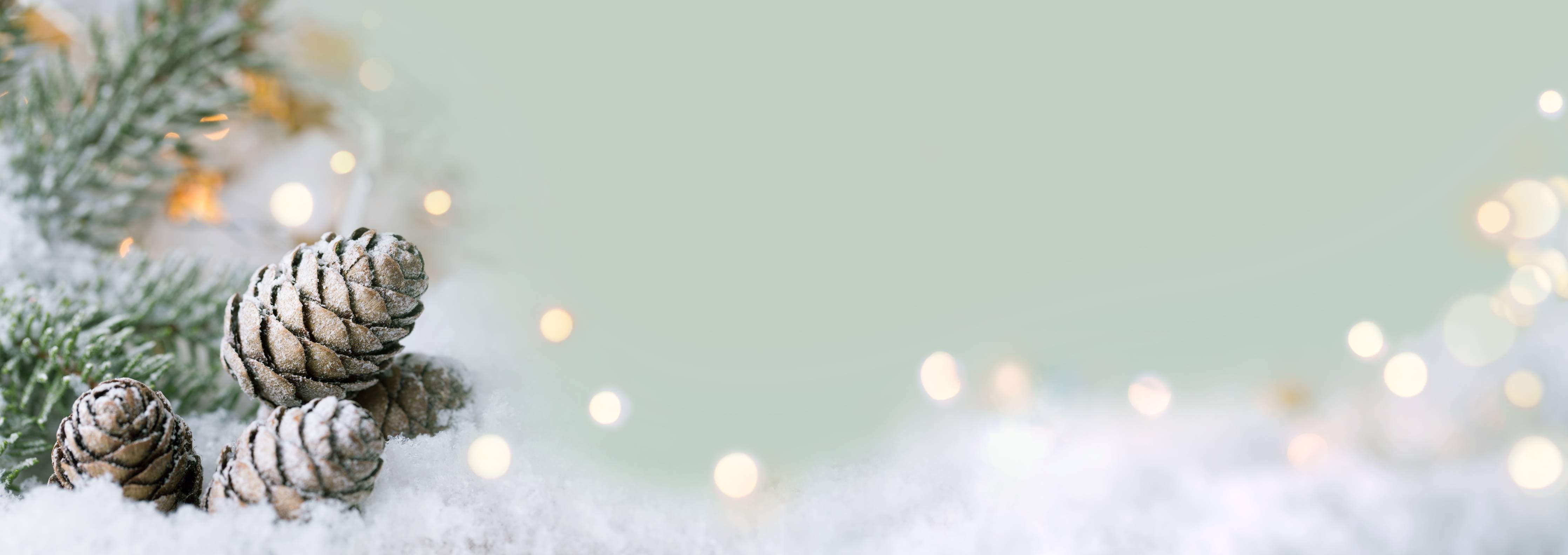 Große Wandbilder-Schneelandschaft zu Weihnachten