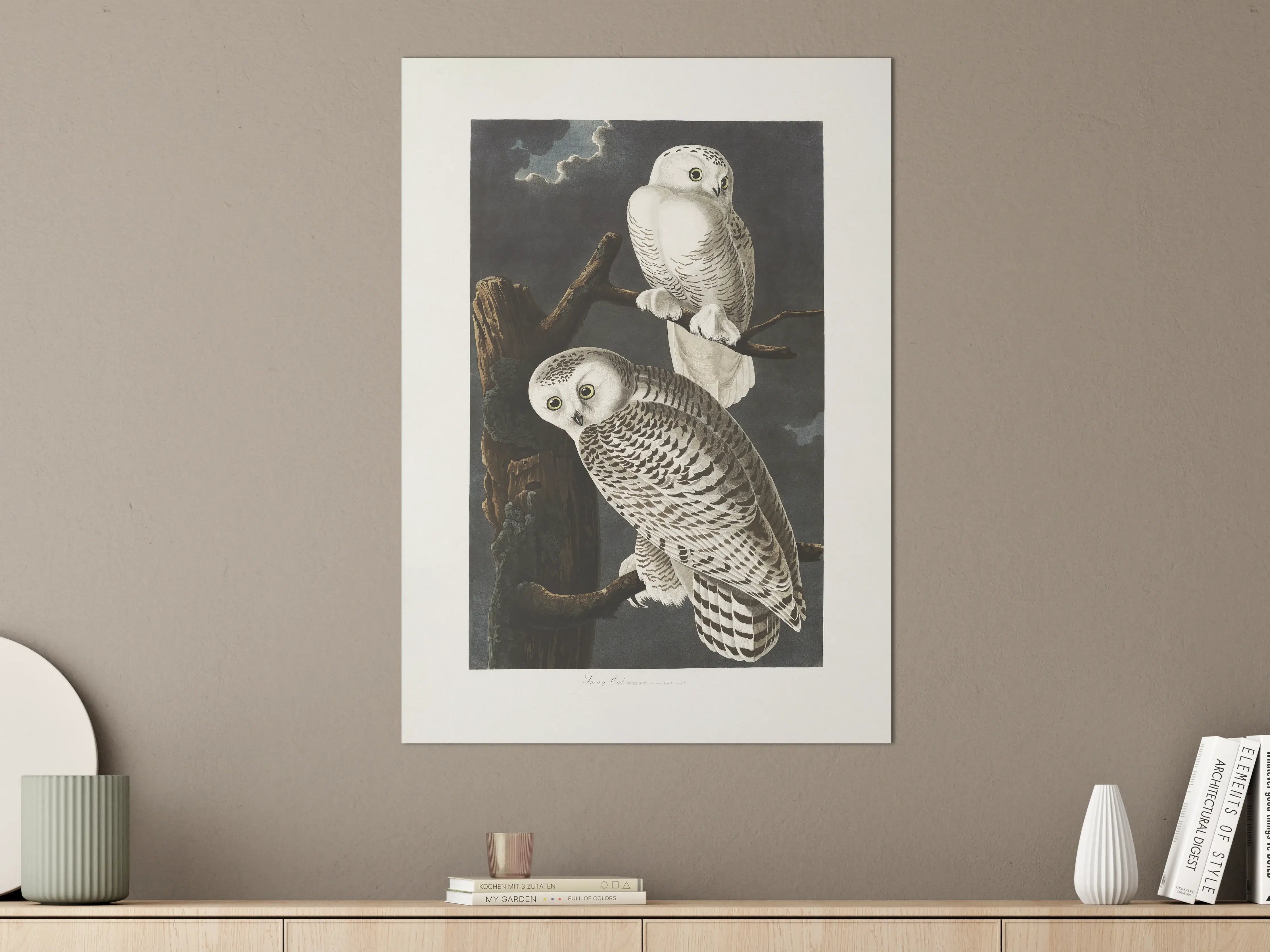 Große Wandbilder - Schneeweiße Eulen - John James Audubon