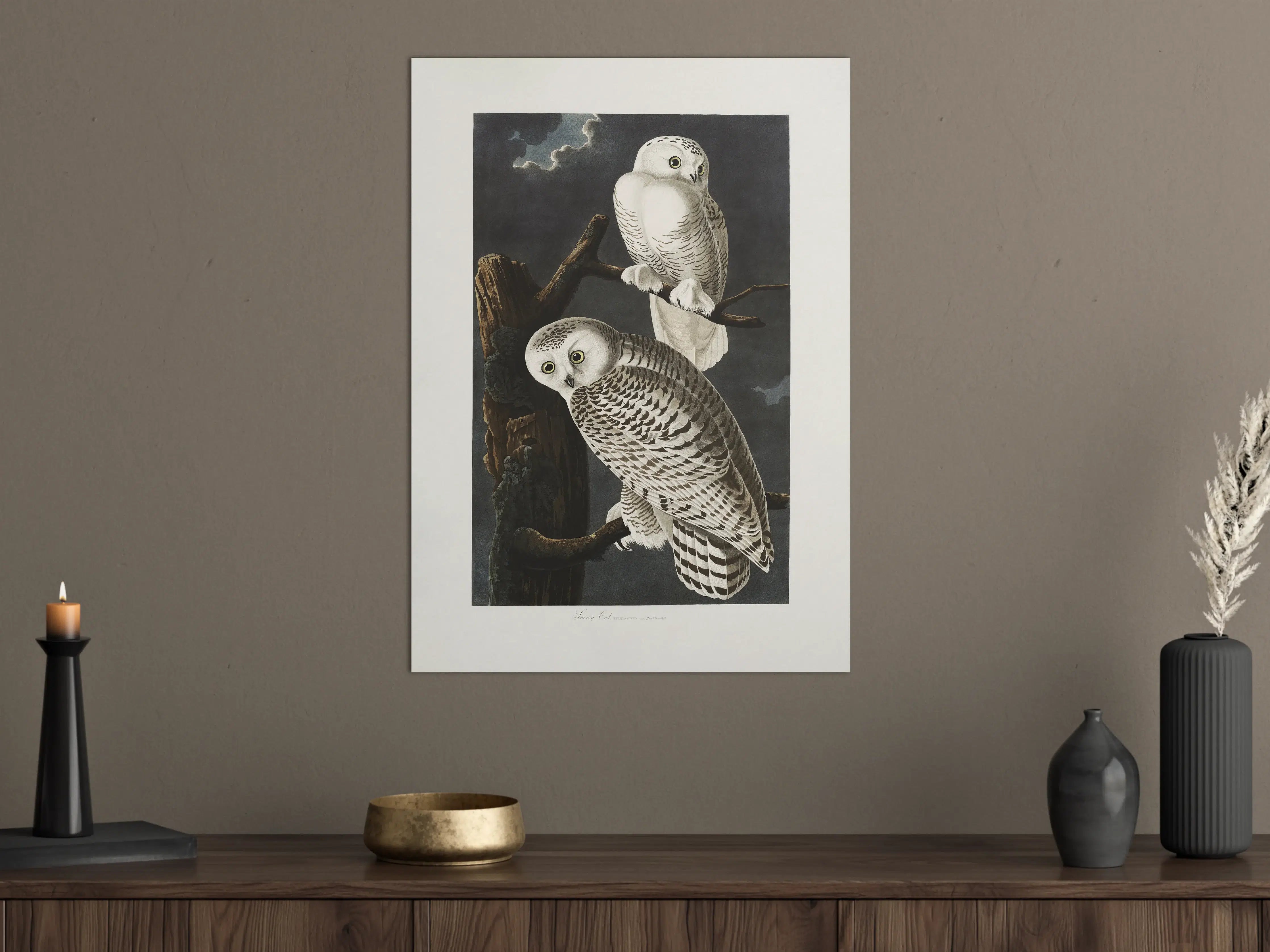 Große Wandbilder - Schneeweiße Eulen - John James Audubon