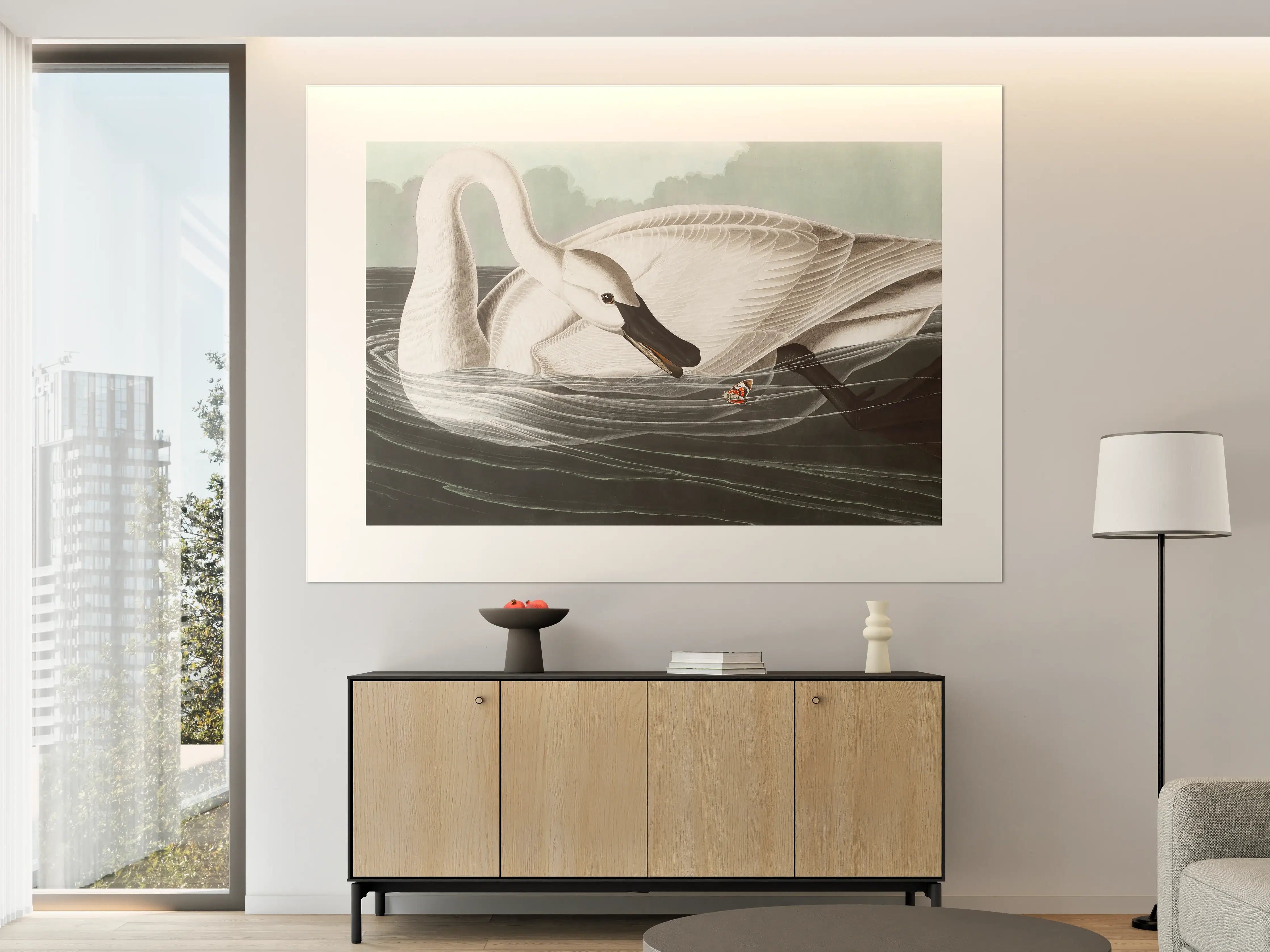 Große Wandbilder - Schneeweißer Schwan - John James Audubon