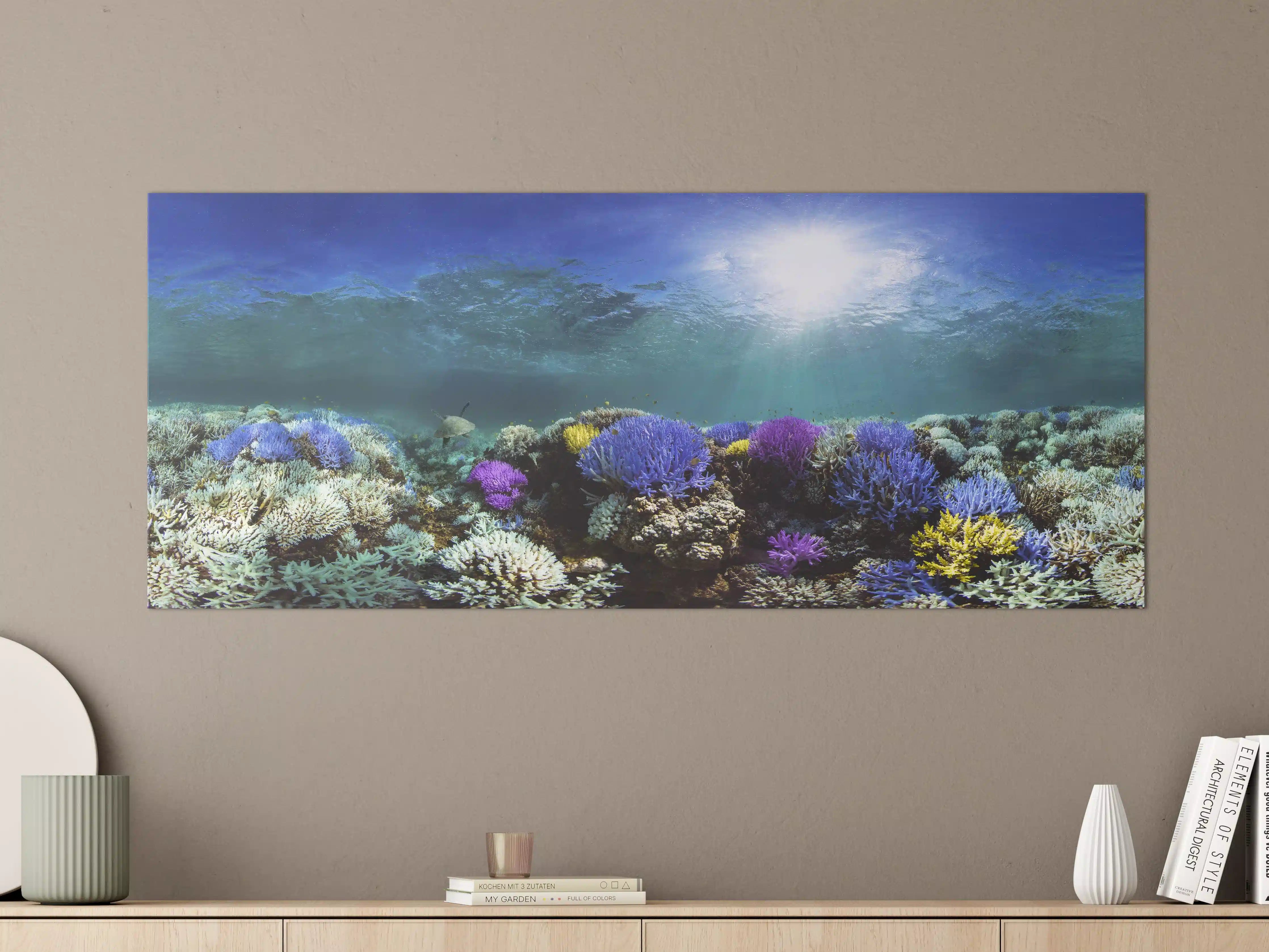 Große Wandbilder - Schönes Korallenriff
