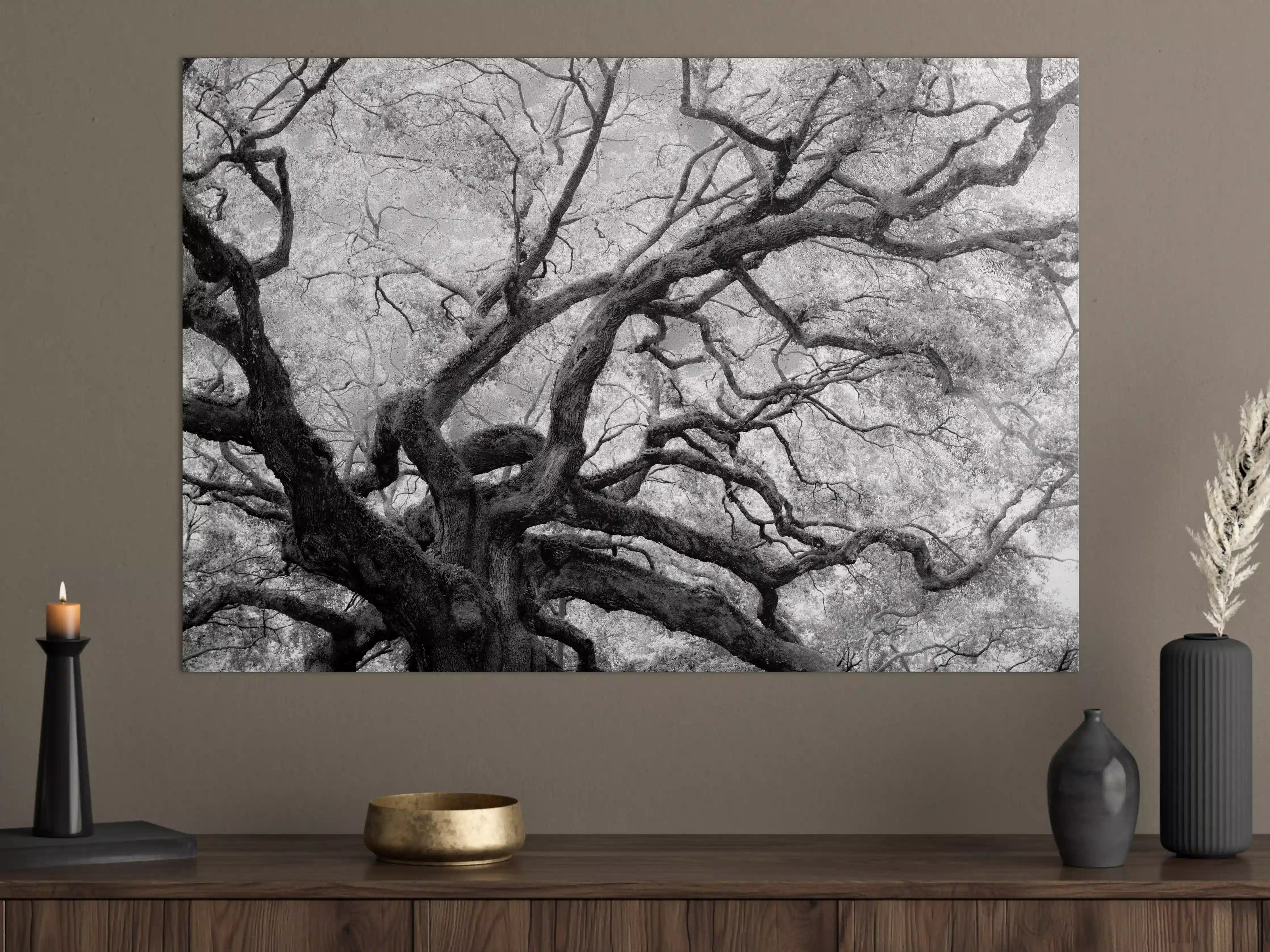 Große Wandbilder - Schwarz-Weiß-Baum in mystischer Atmosphäre
