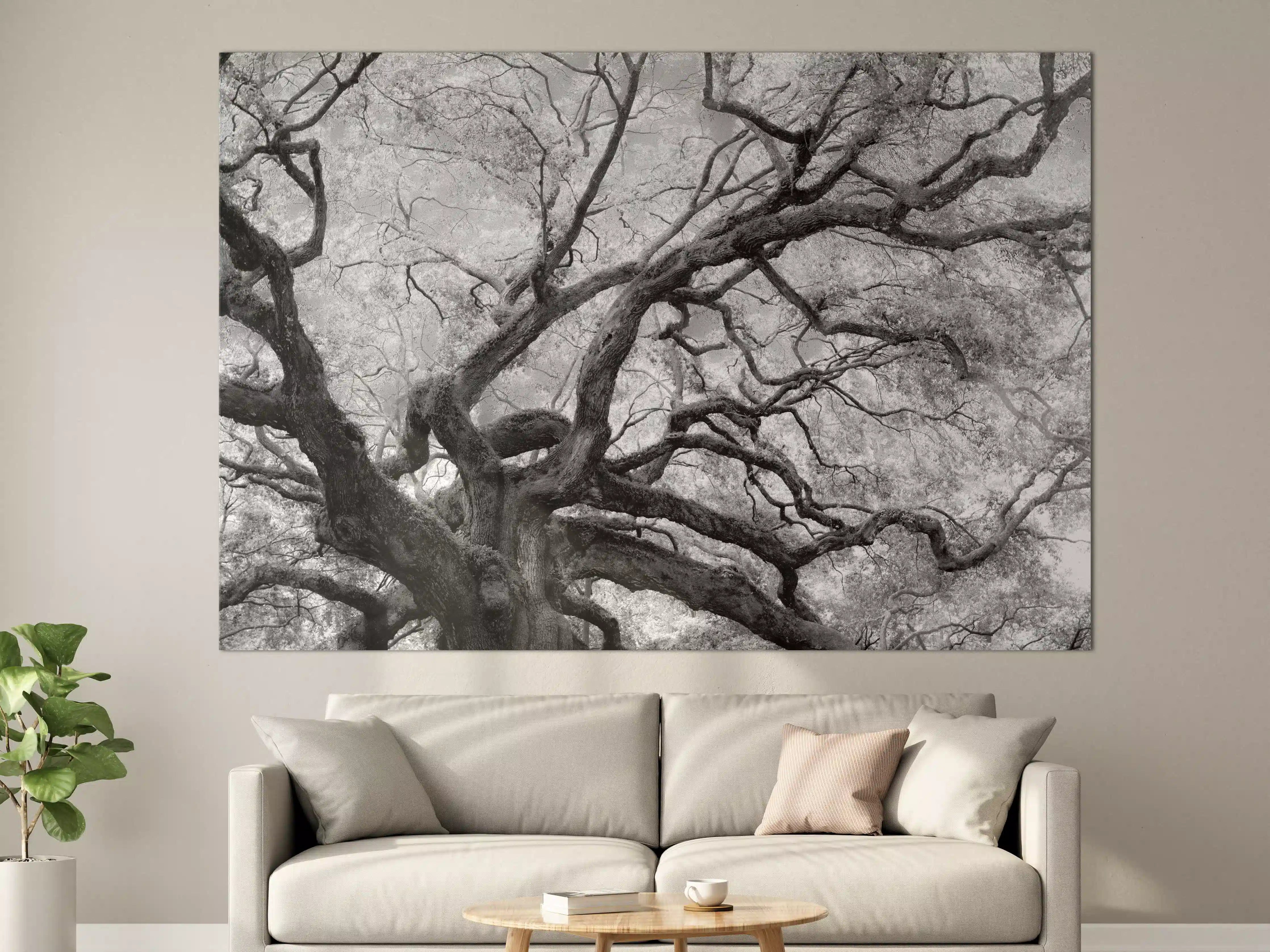 Große Wandbilder - Schwarz-Weiß-Baum in mystischer Atmosphäre