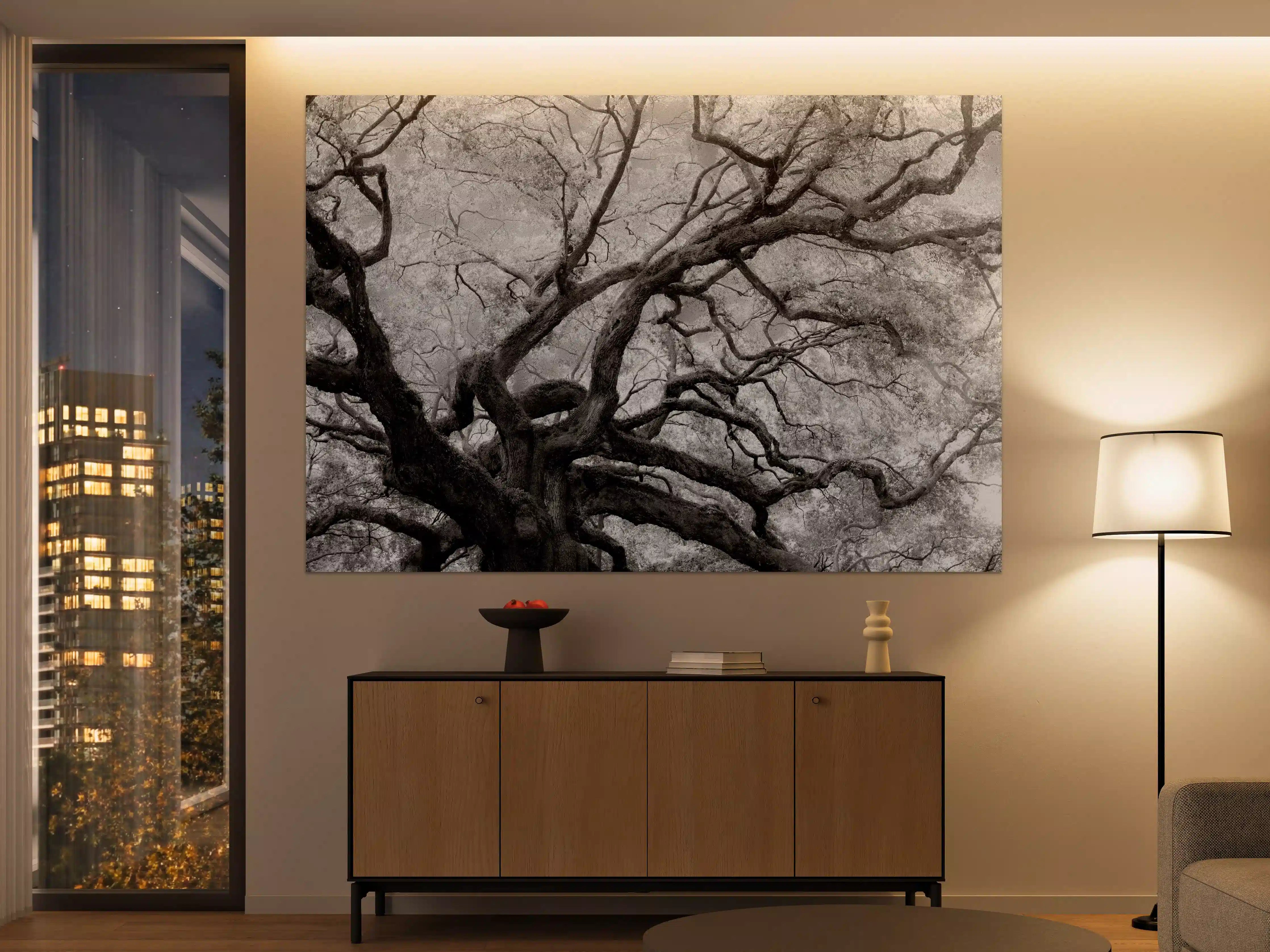 Große Wandbilder - Schwarz-Weiß-Baum in mystischer Atmosphäre