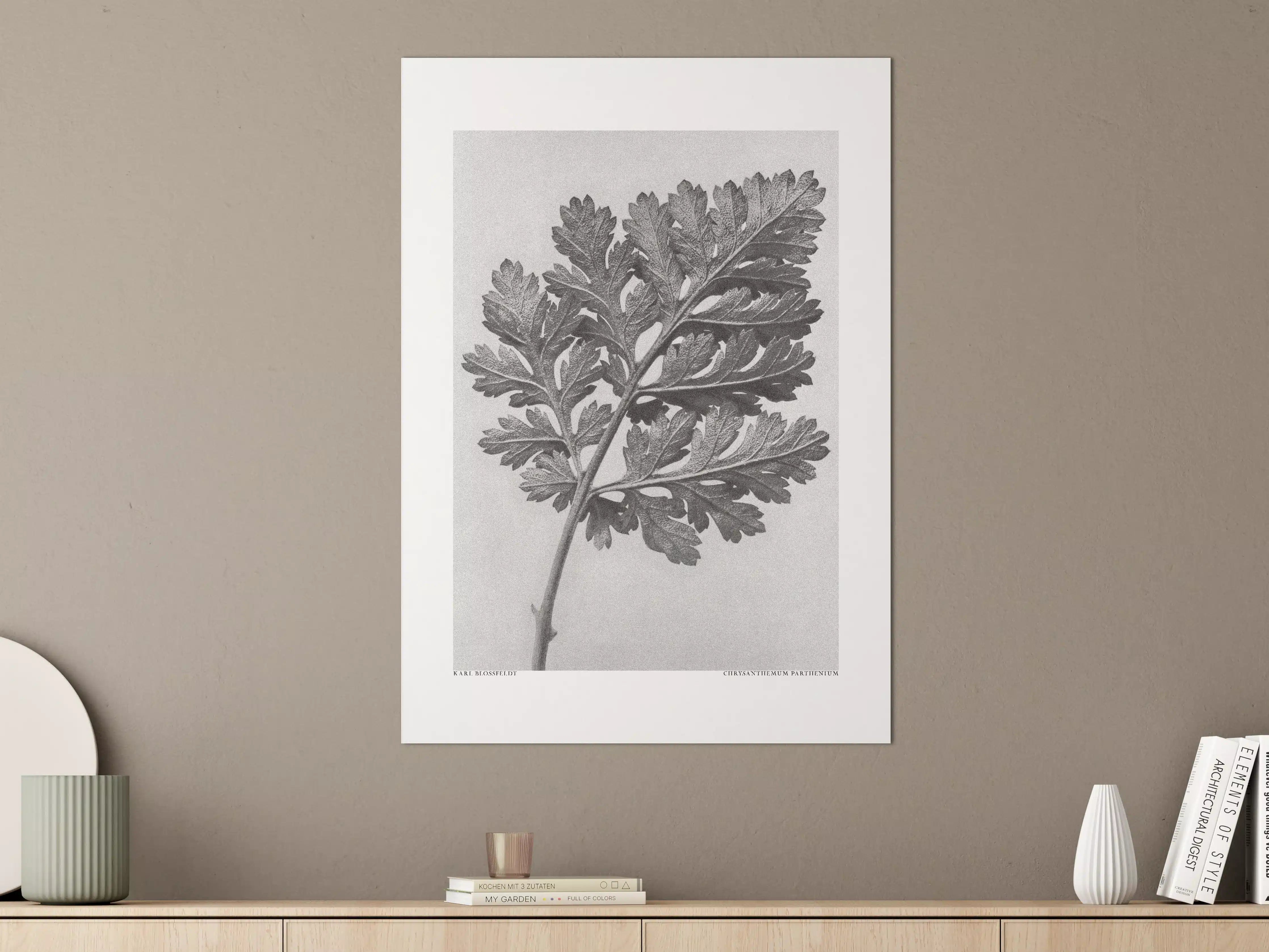 Große Wandbilder - Schwarz-Weiß-Blattmotiv mit feinen Details