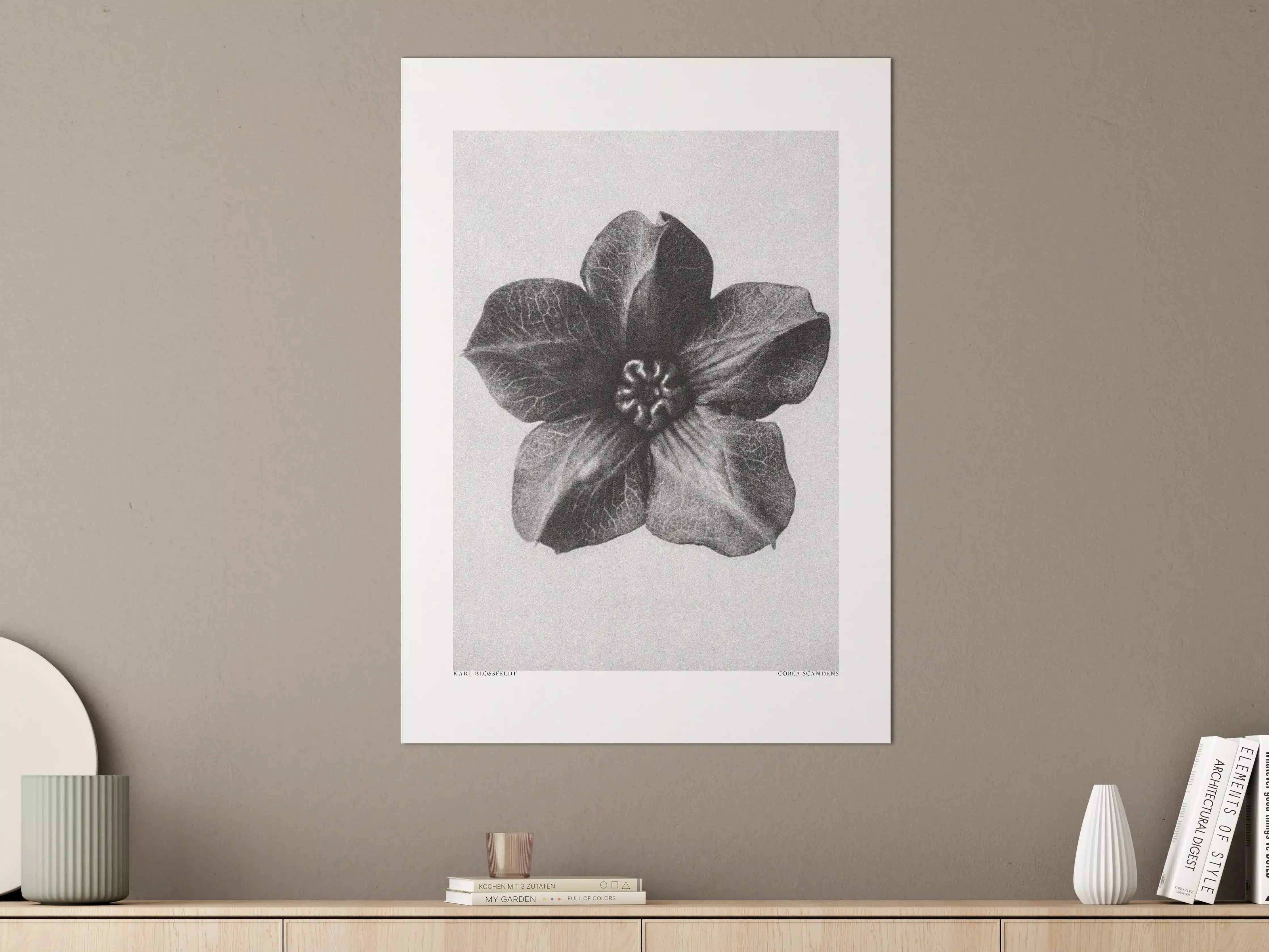 Große Wandbilder - Schwarz-Weiß-Blumen-Illusion