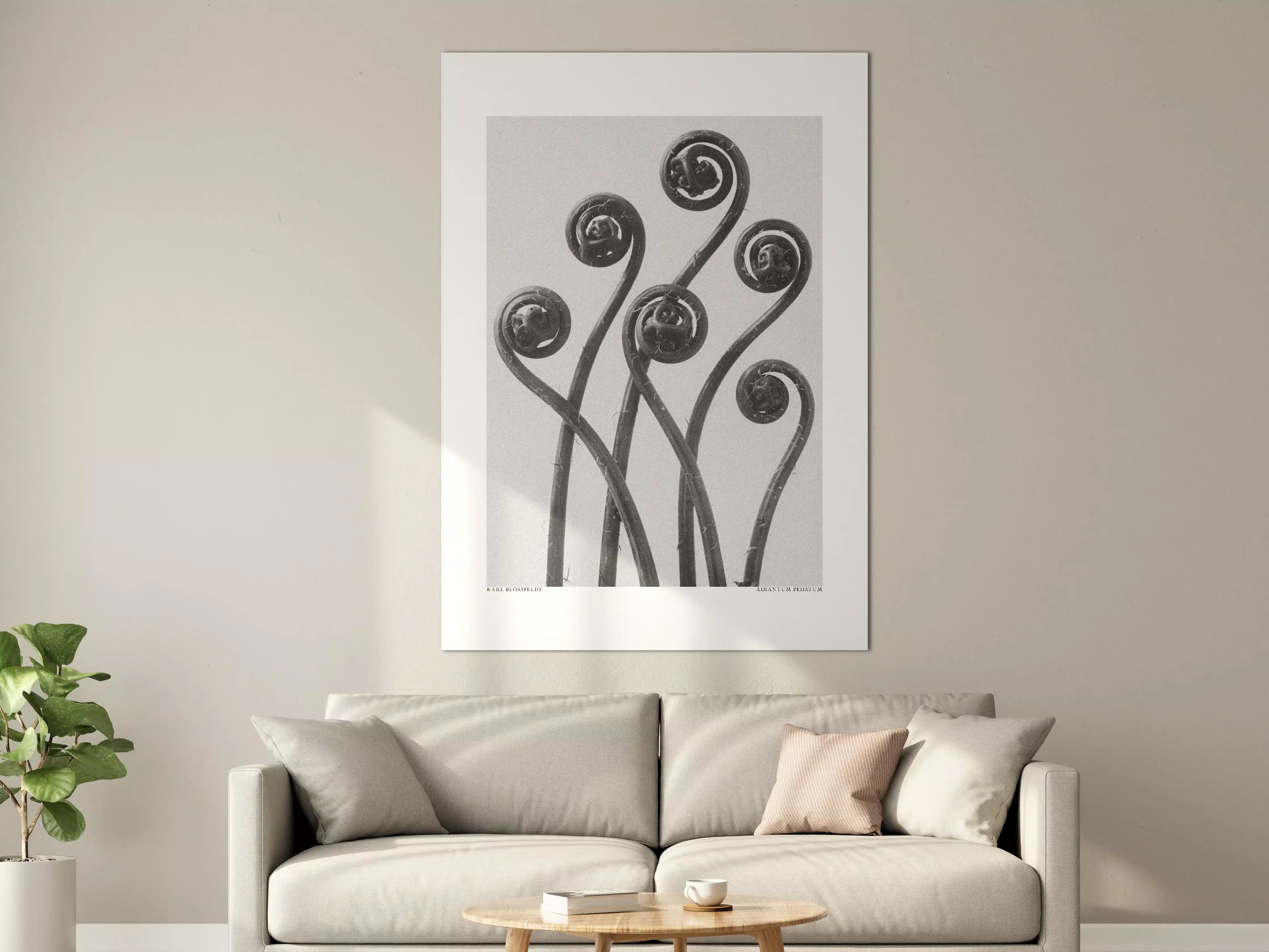 Große Wandbilder - Schwarz-Weiß Blumendesign