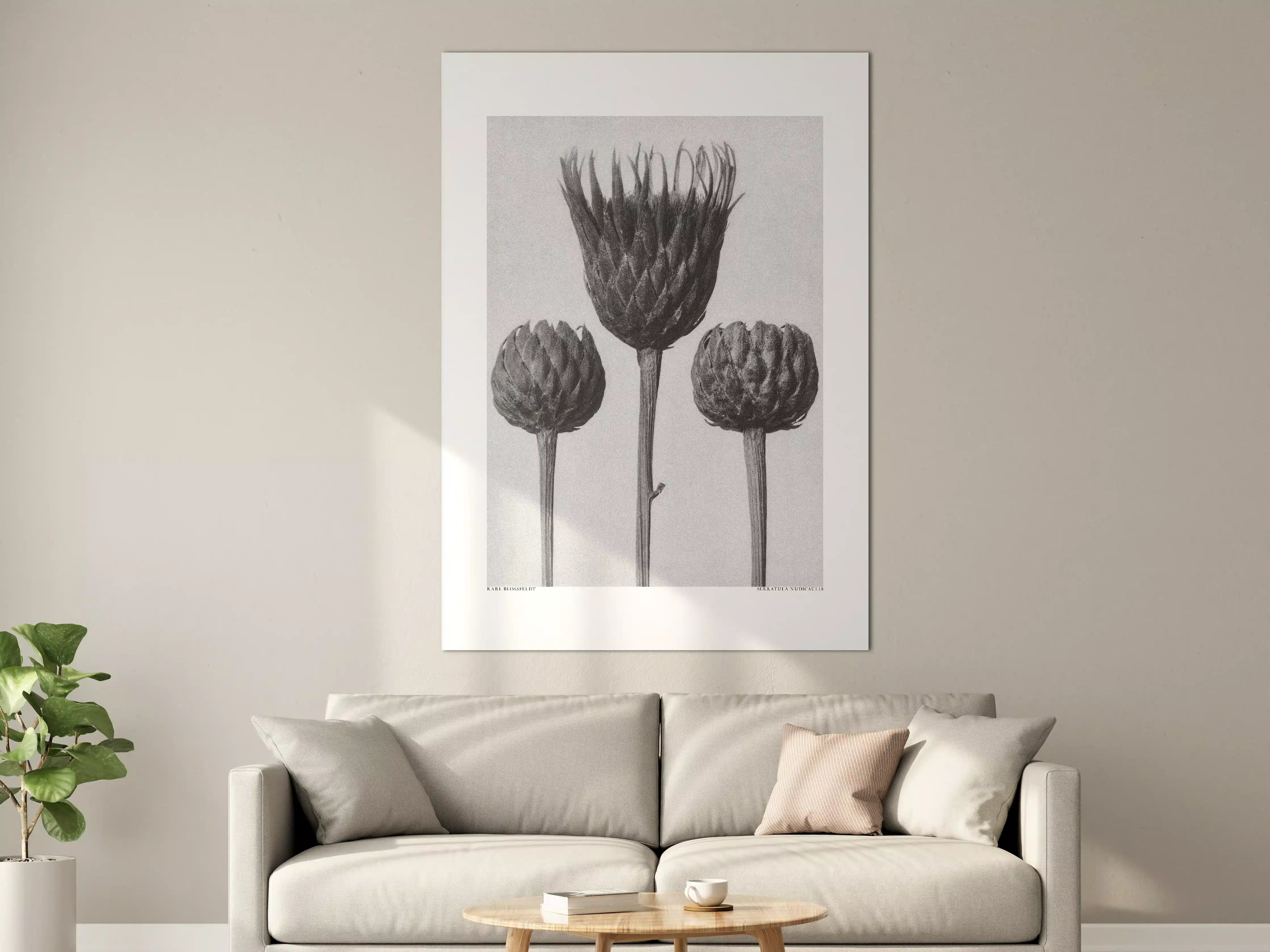 Große Wandbilder - Schwarz-Weiß Blumenthema mit künstlerischer Eleganz