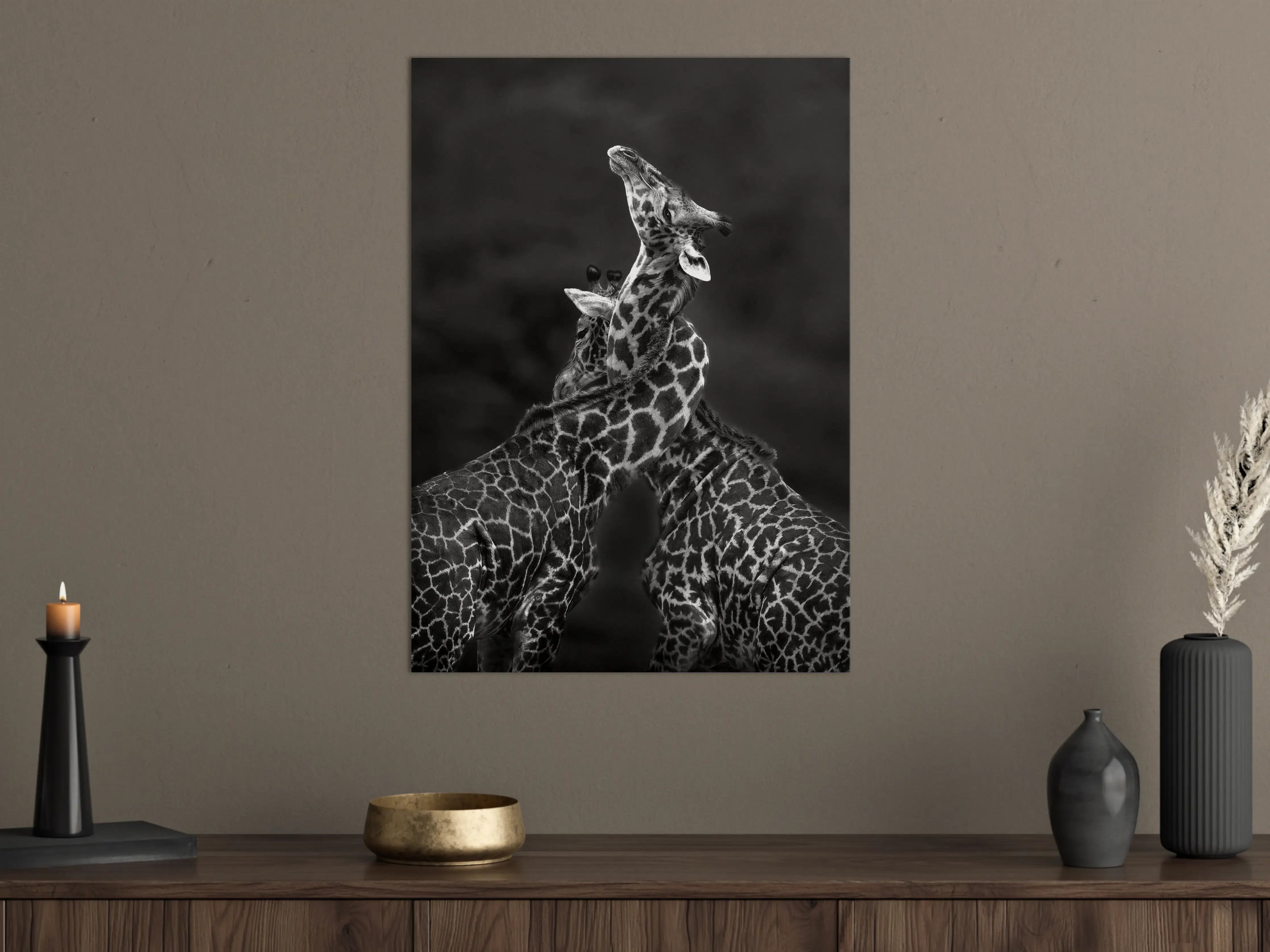 Große Wandbilder - Schwarz-Weiß-Giraffen in natürlicher Pose