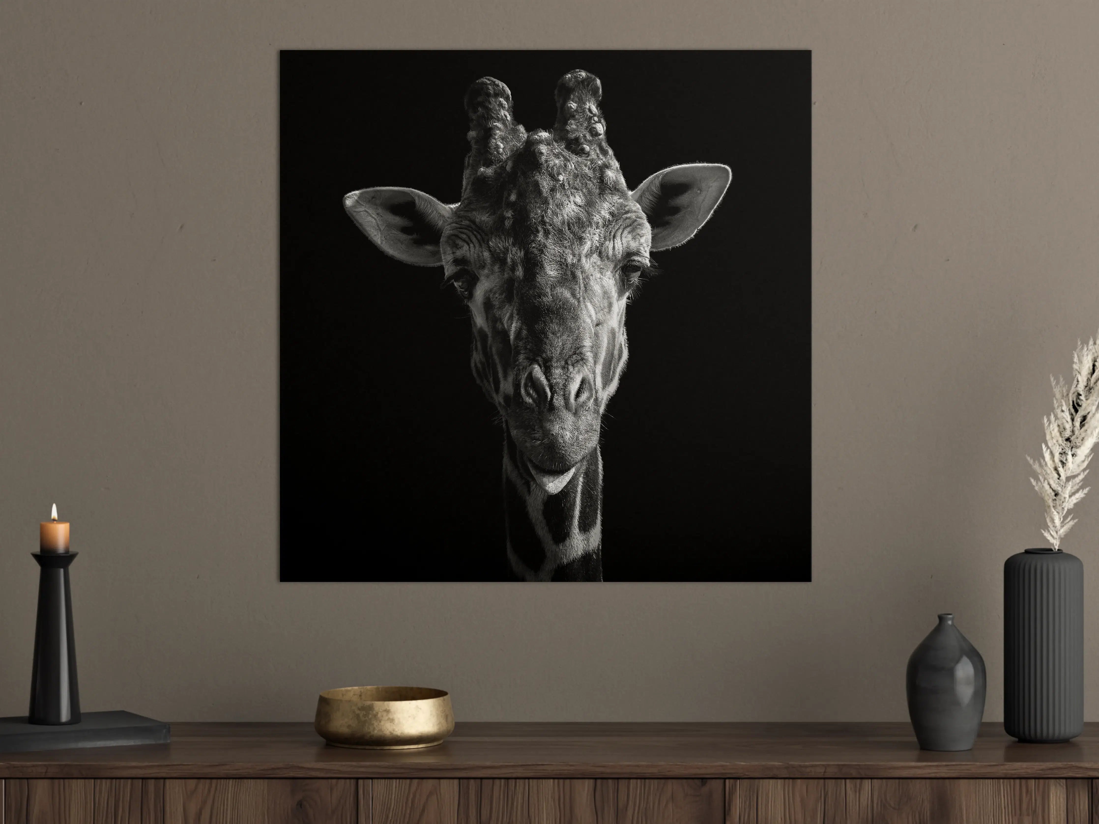 Große Wandbilder - Schwarz-Weiß-Giraffenporträt