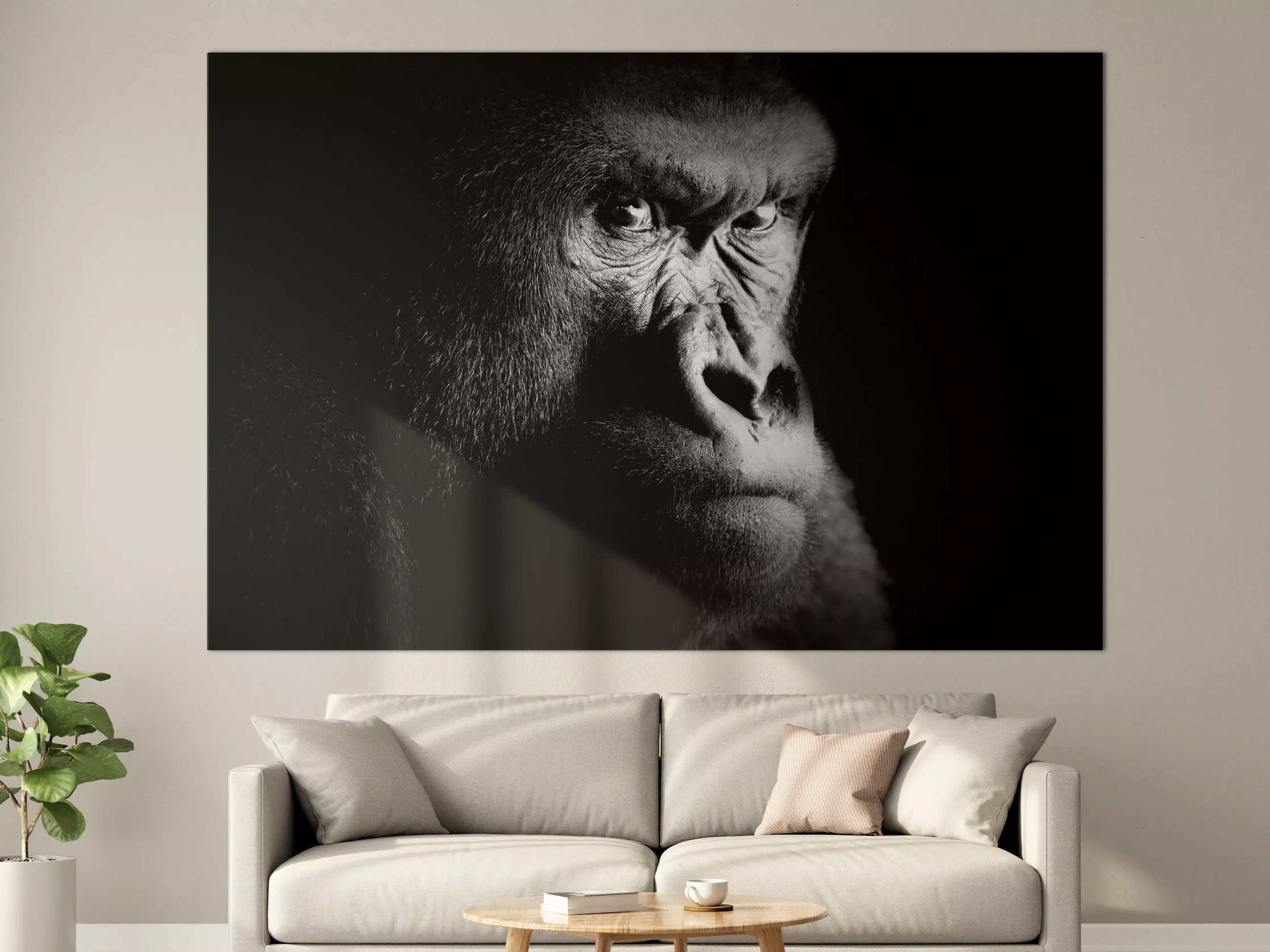 Große Wandbilder - Schwarz-Weiß-Gorilla mit intensiven Blick