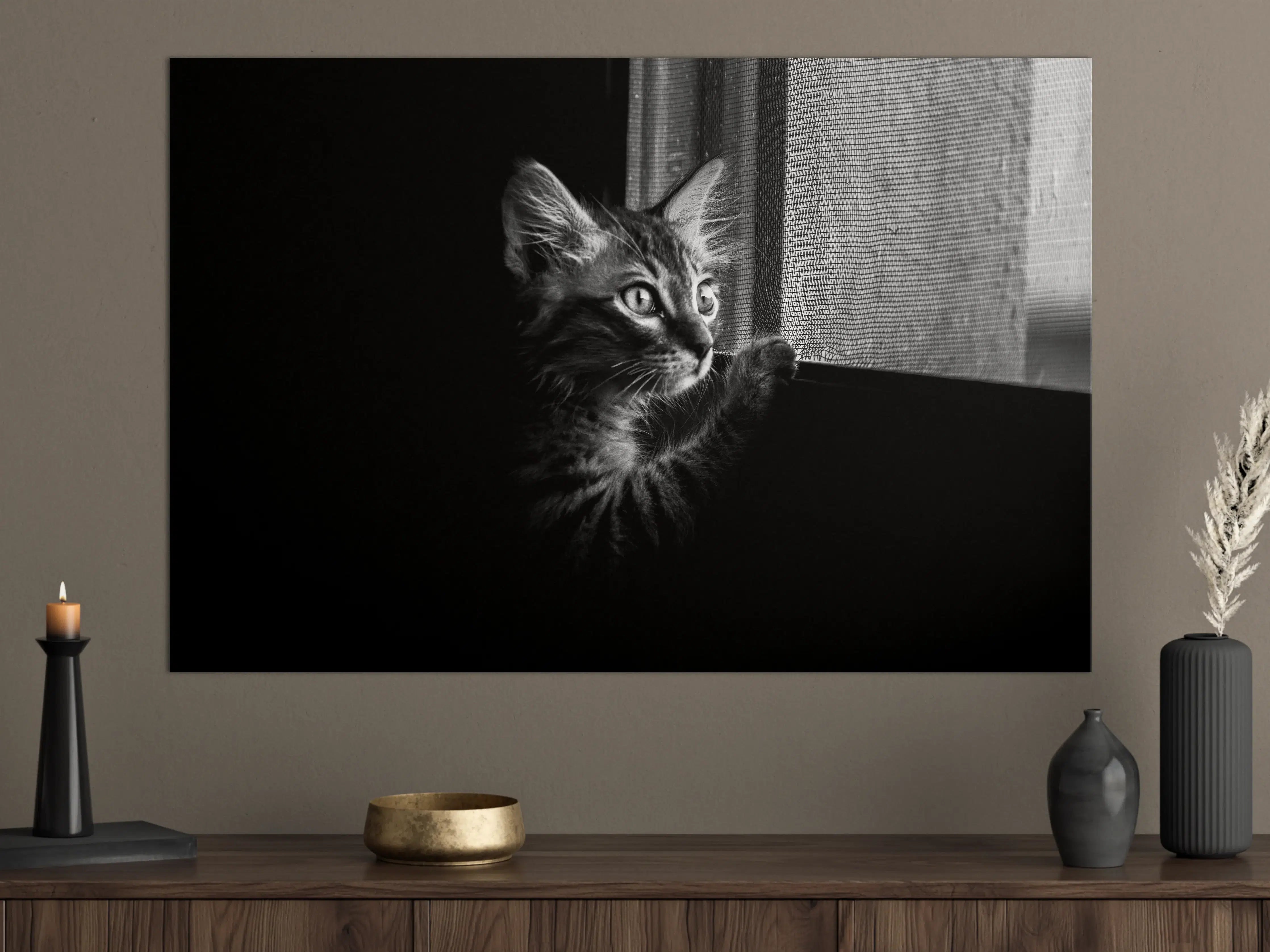 Große Wandbilder - Schwarz-Weiß-Katzenporträt