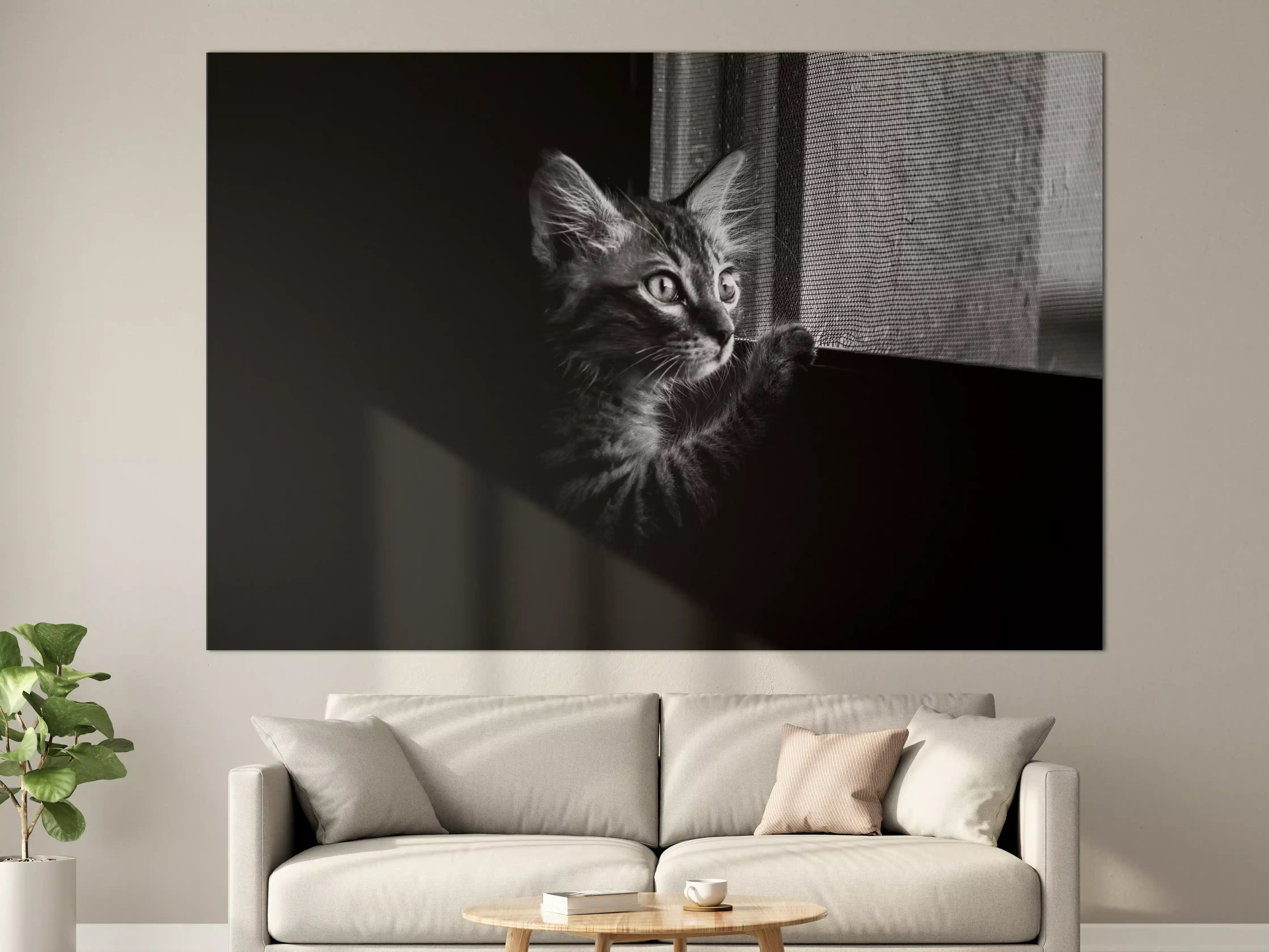 Große Wandbilder - Schwarz-Weiß-Katzenporträt