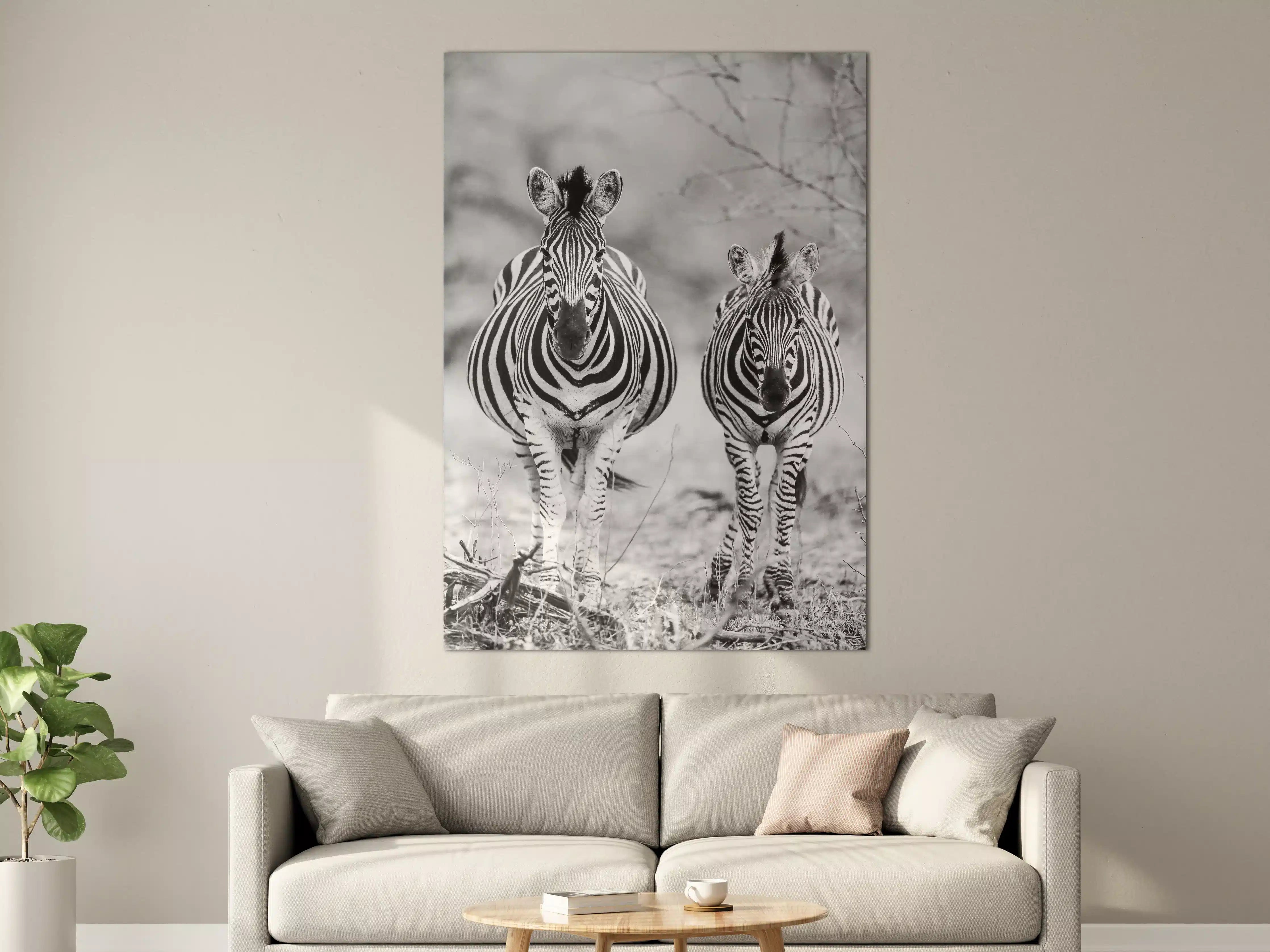 Große Wandbilder - Schwarz-Weiß Zebrapaar